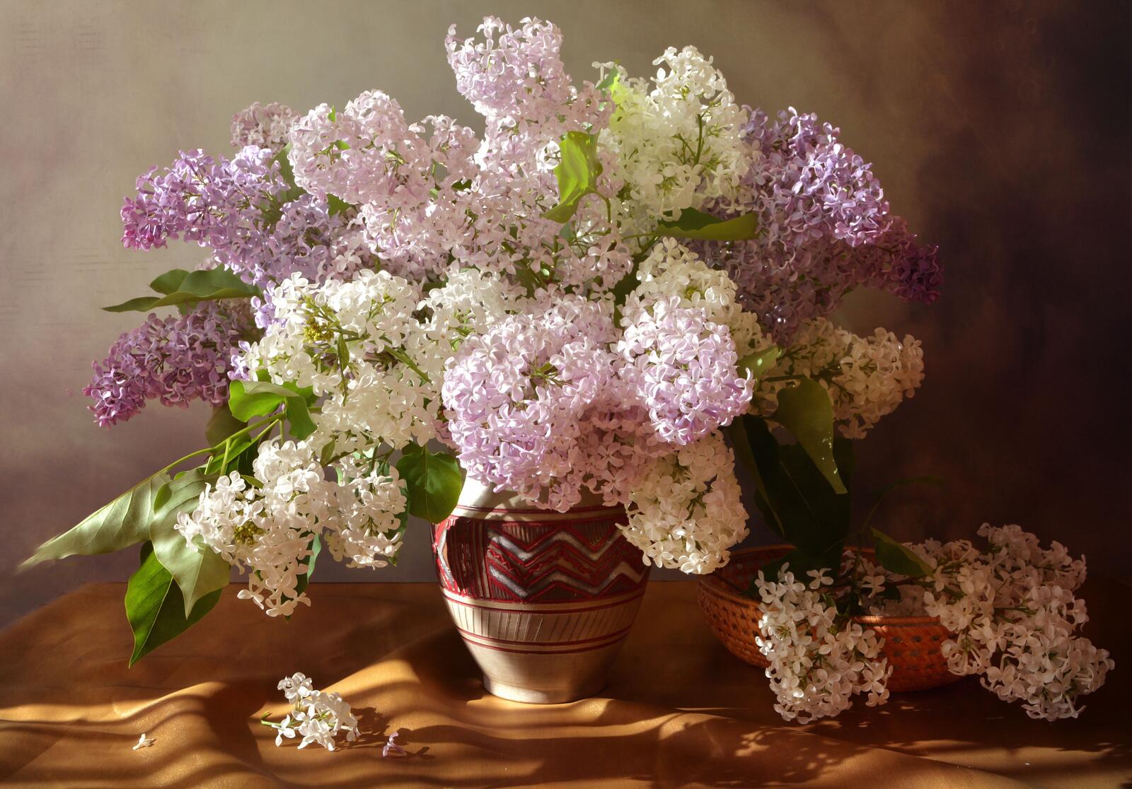 Wallpapers a bouquet of lilacs small flowers flowers on the desktop