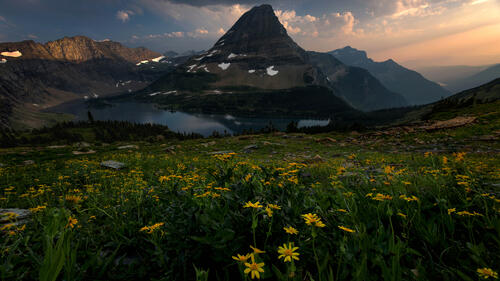 Цветы и горы · бесплатное фото