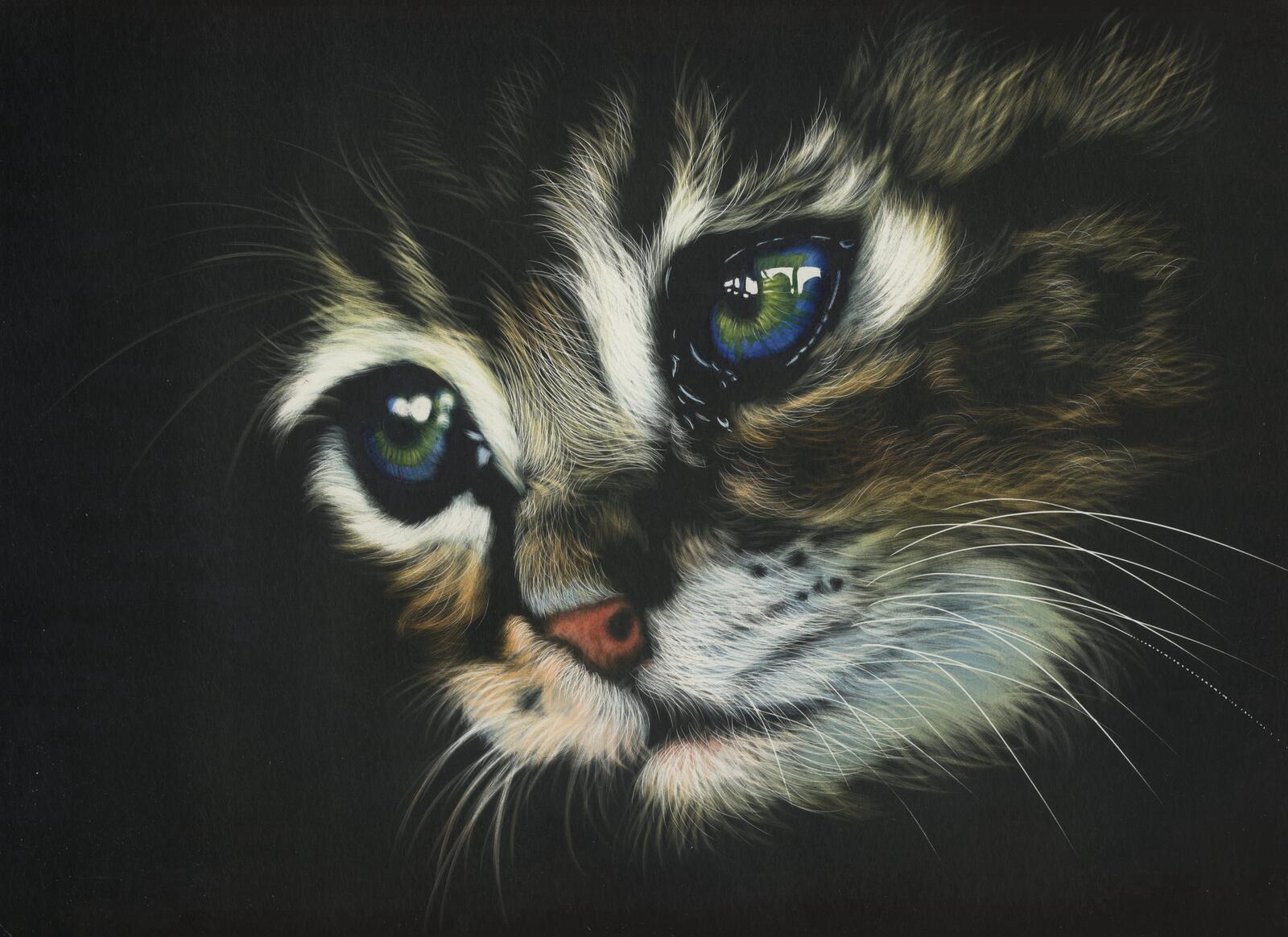 Бесплатное фото Рисунок мордашки котенка