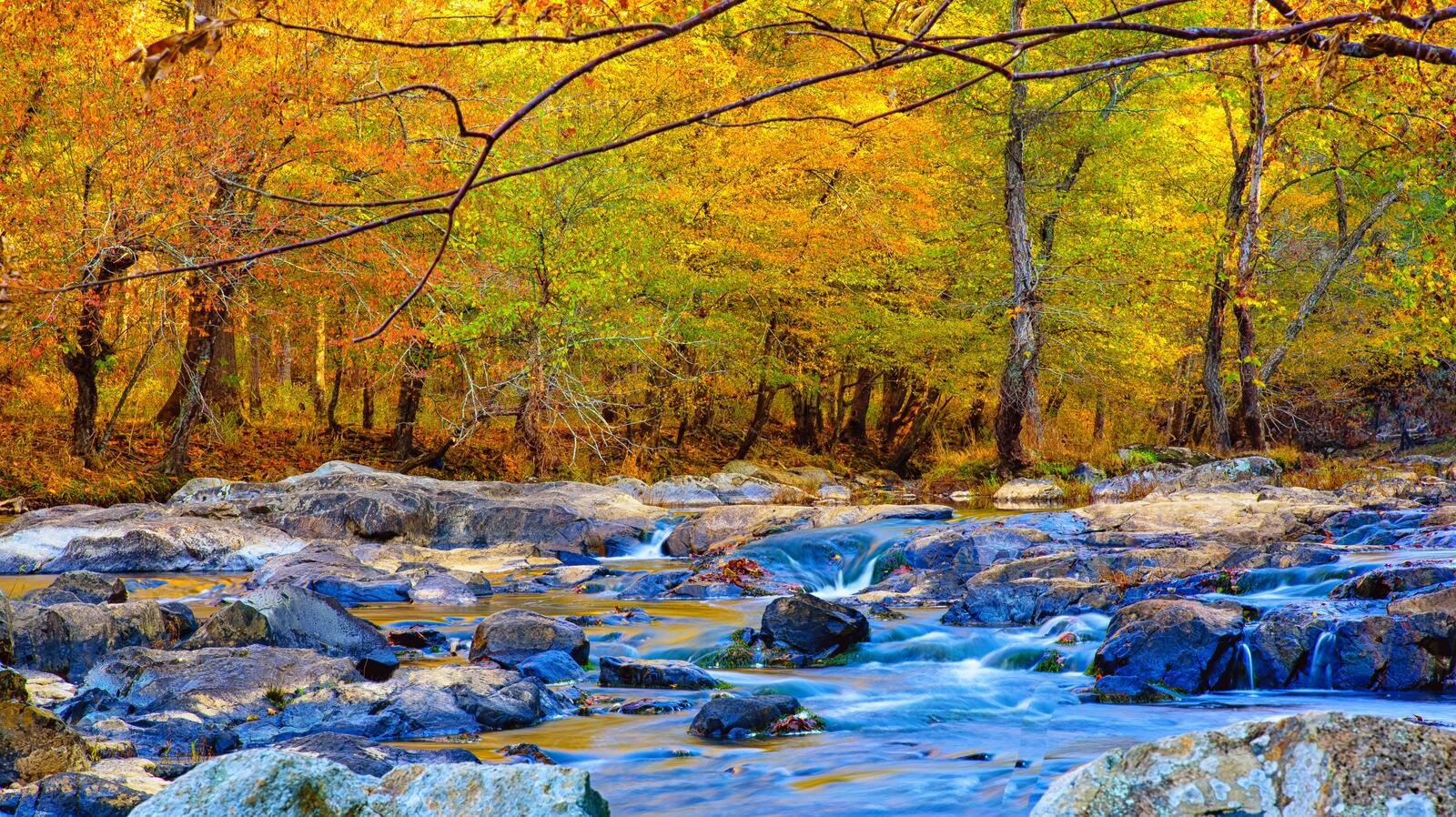 桌面上的壁纸达勒姆伊诺河州立公园 nc 秋季