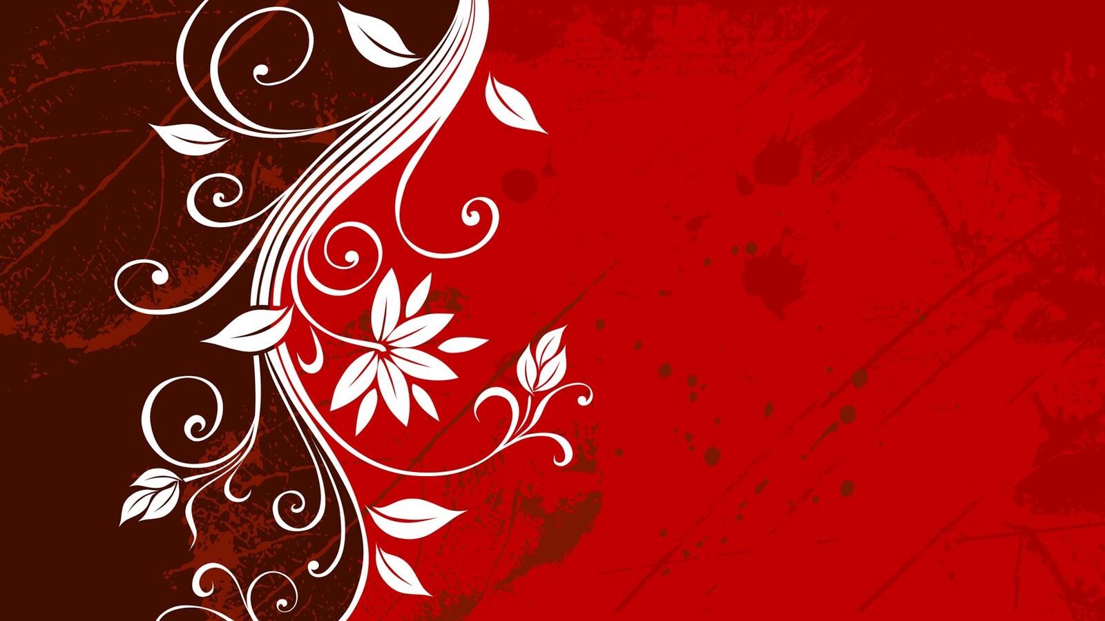 Wallpapers floral graphics grunge on the desktop