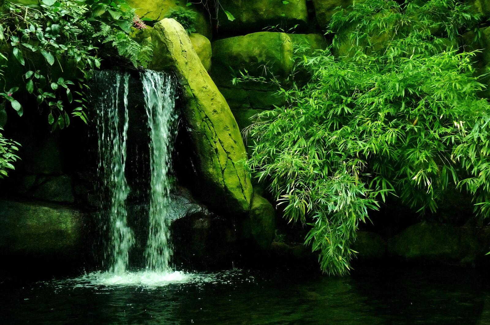 Wallpapers pond waterfall stones on the desktop