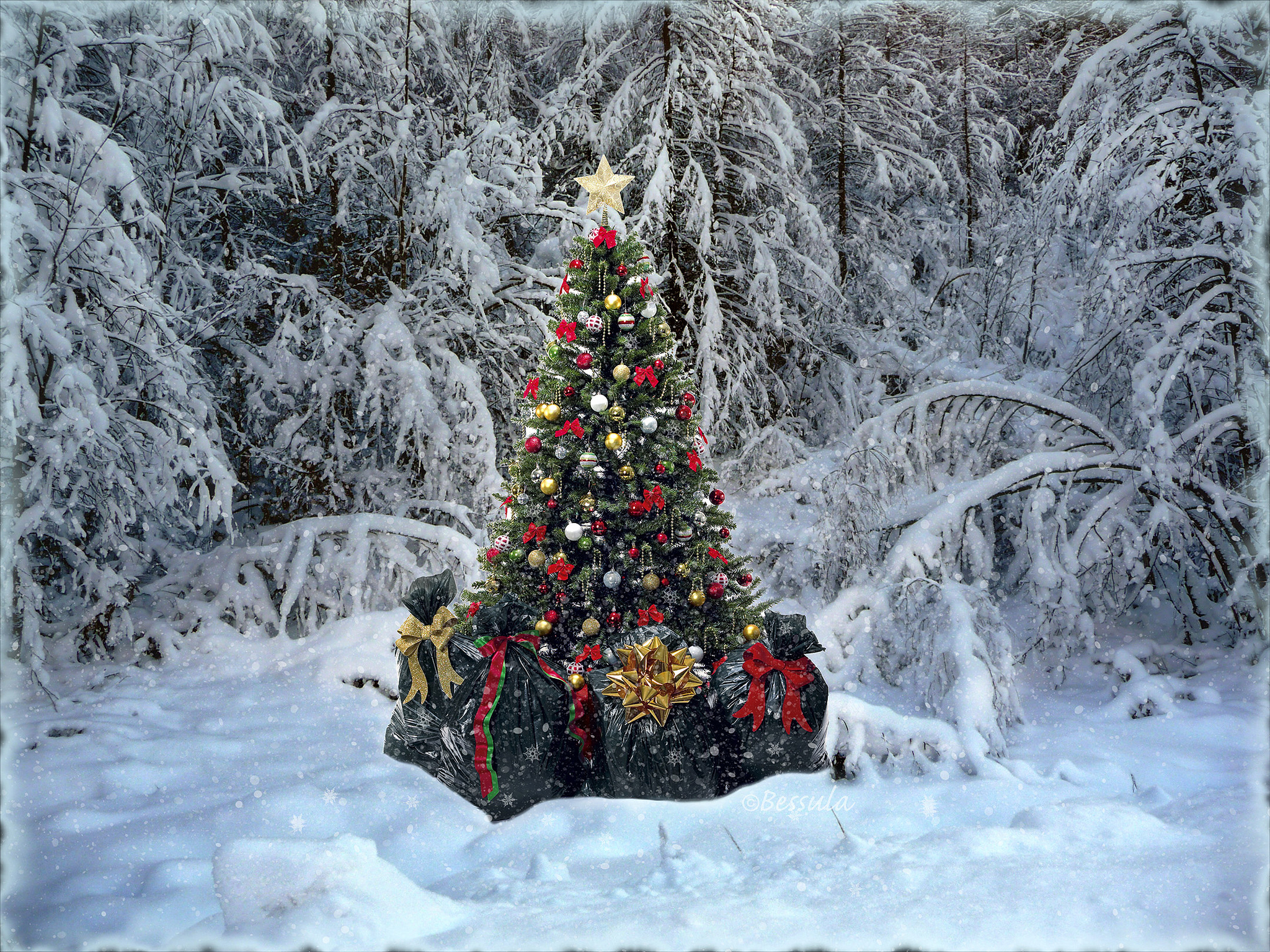 Елочки под снегом. Наряженная елка в лесу. В новогоднем лесу. Новогодняя ель в лесу. Елка в снегу.