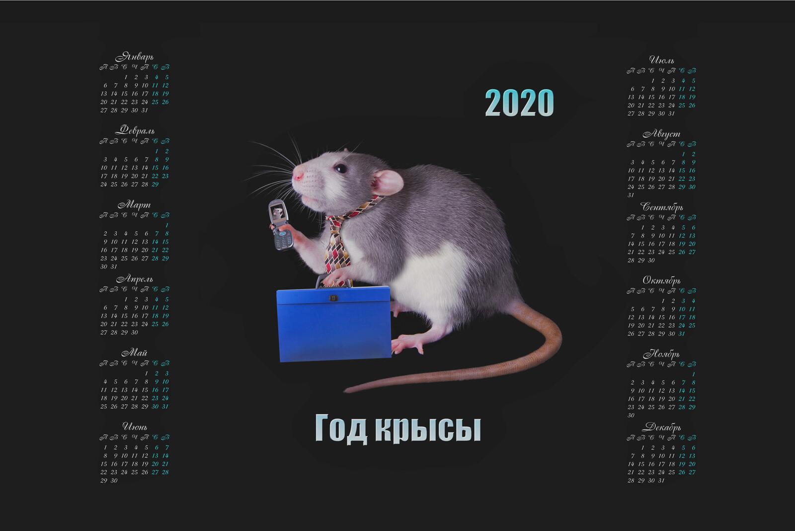 Free photo Calendar for the year 2020 a rat with a mobile phone