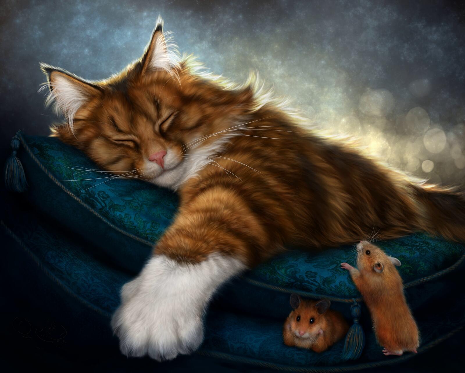 Wallpapers cat mouse dream on the desktop