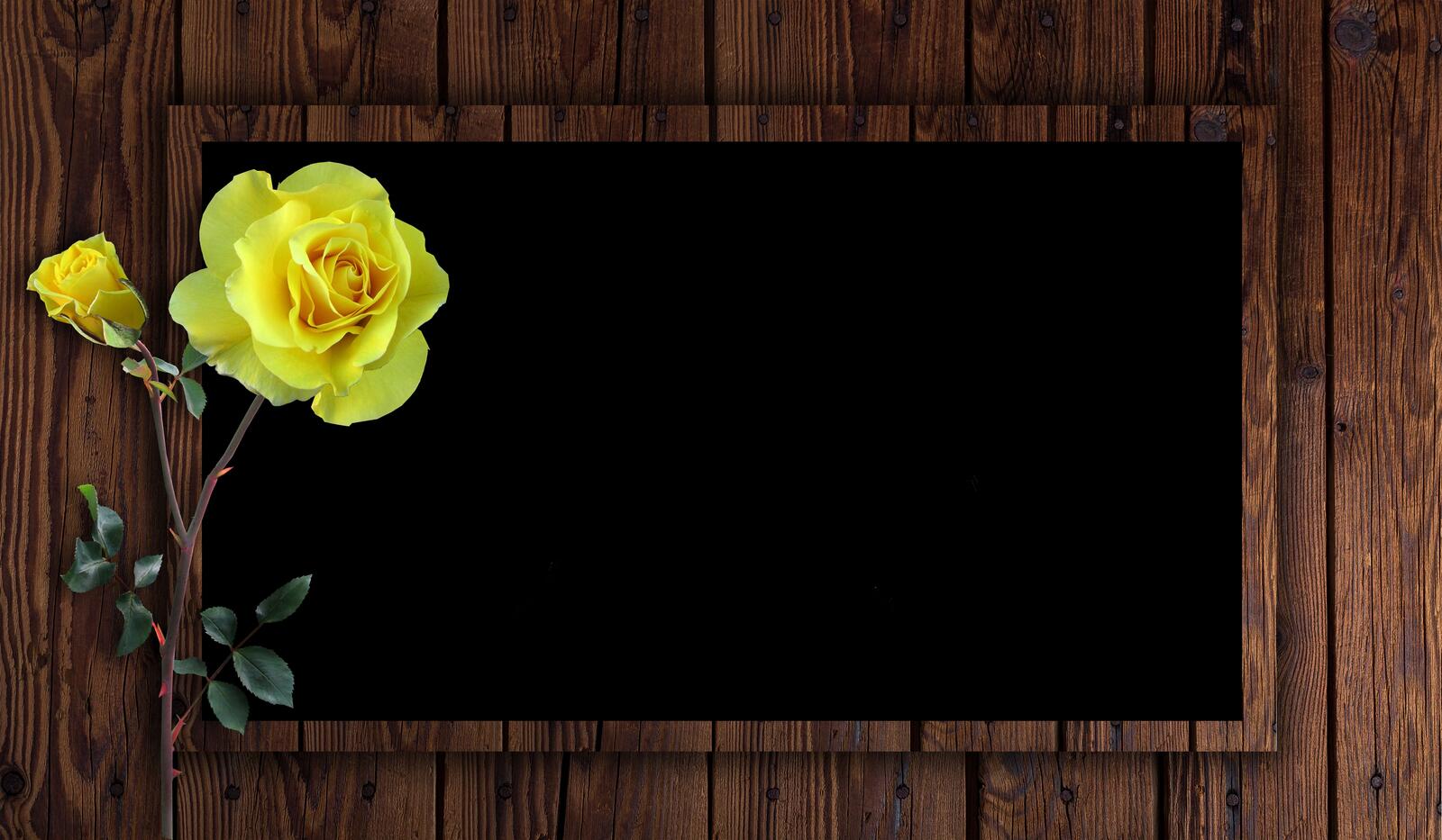 Обои рамка роза цветок на рабочий стол