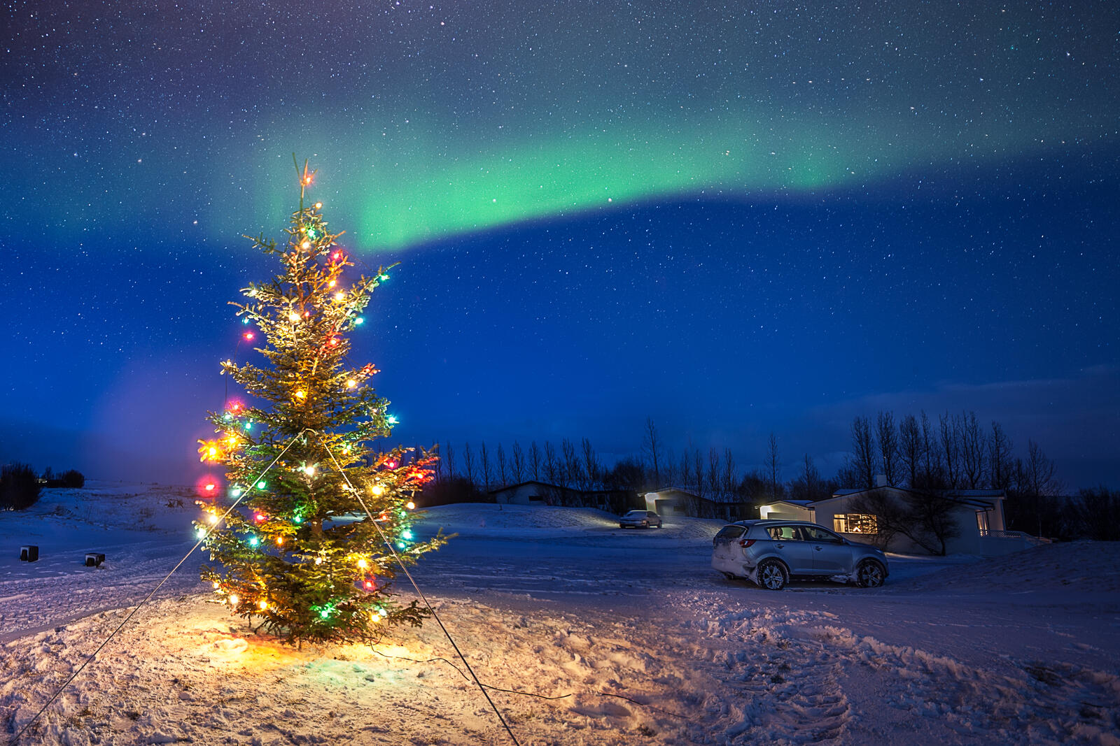 桌面上的壁纸冰岛 诞生 圣诞树