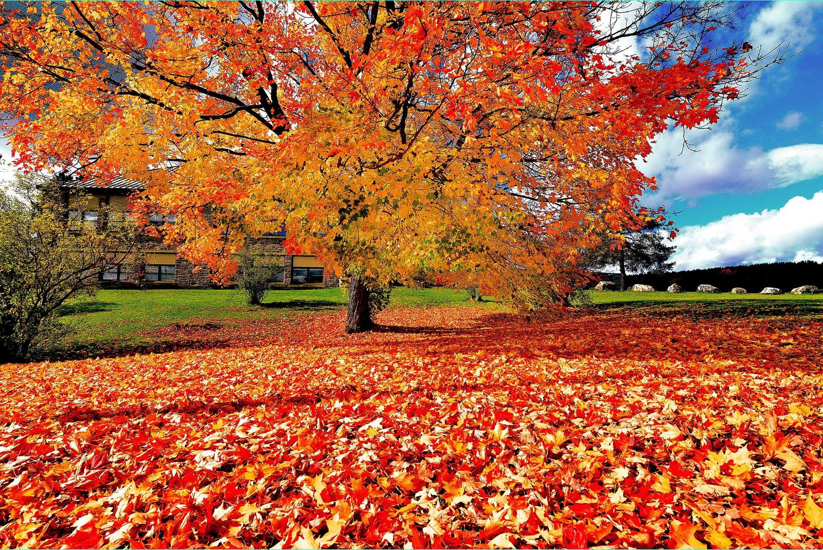 Wallpapers landscape autumn leaves autumn colours on the desktop
