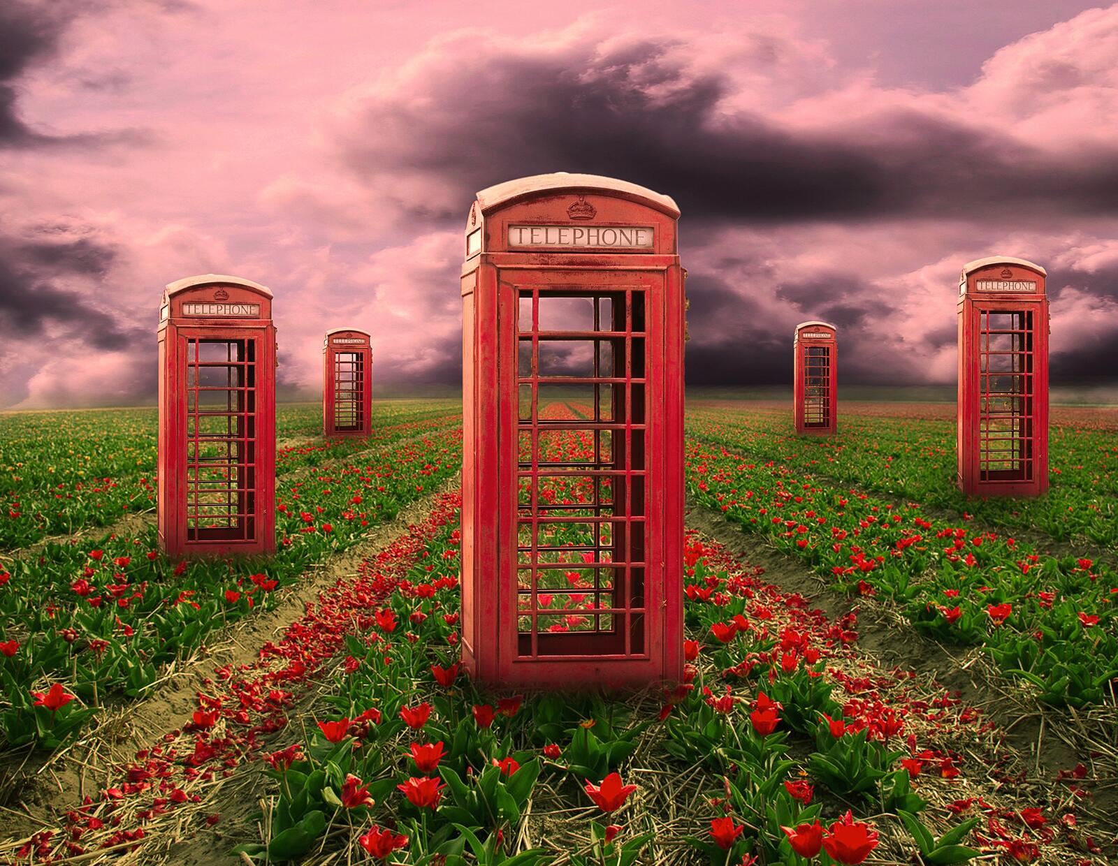 Wallpapers telephone booth field art on the desktop