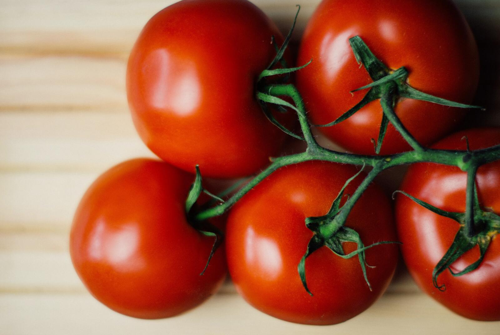 Wallpapers tomatoes branches vegetables on the desktop
