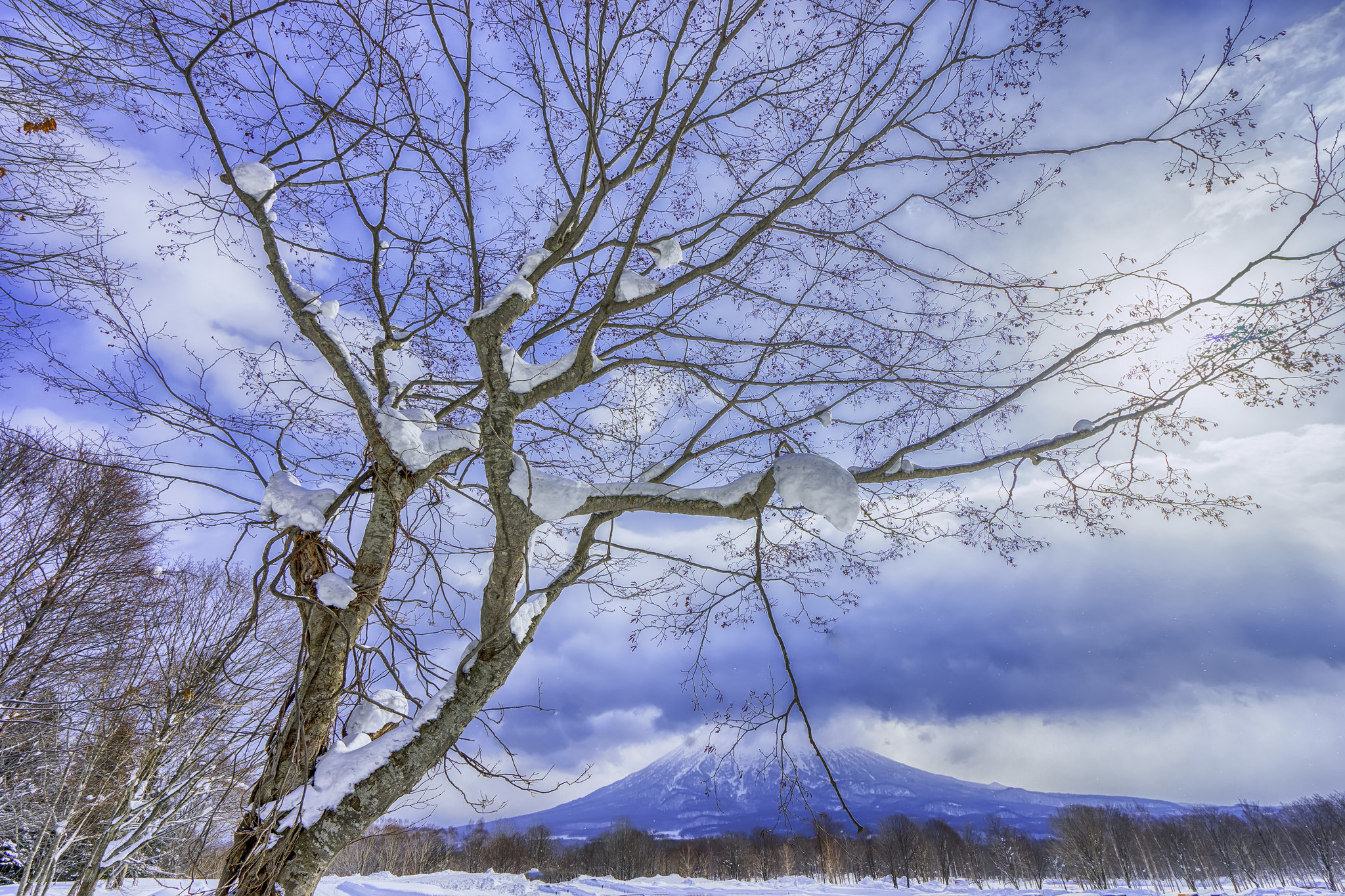 Фото бесплатно зима, вулкан, деревья