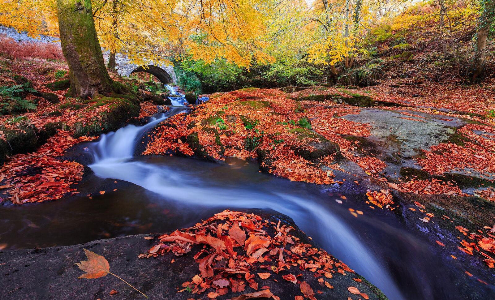 Wallpapers park waterfall autumn leaves on the desktop