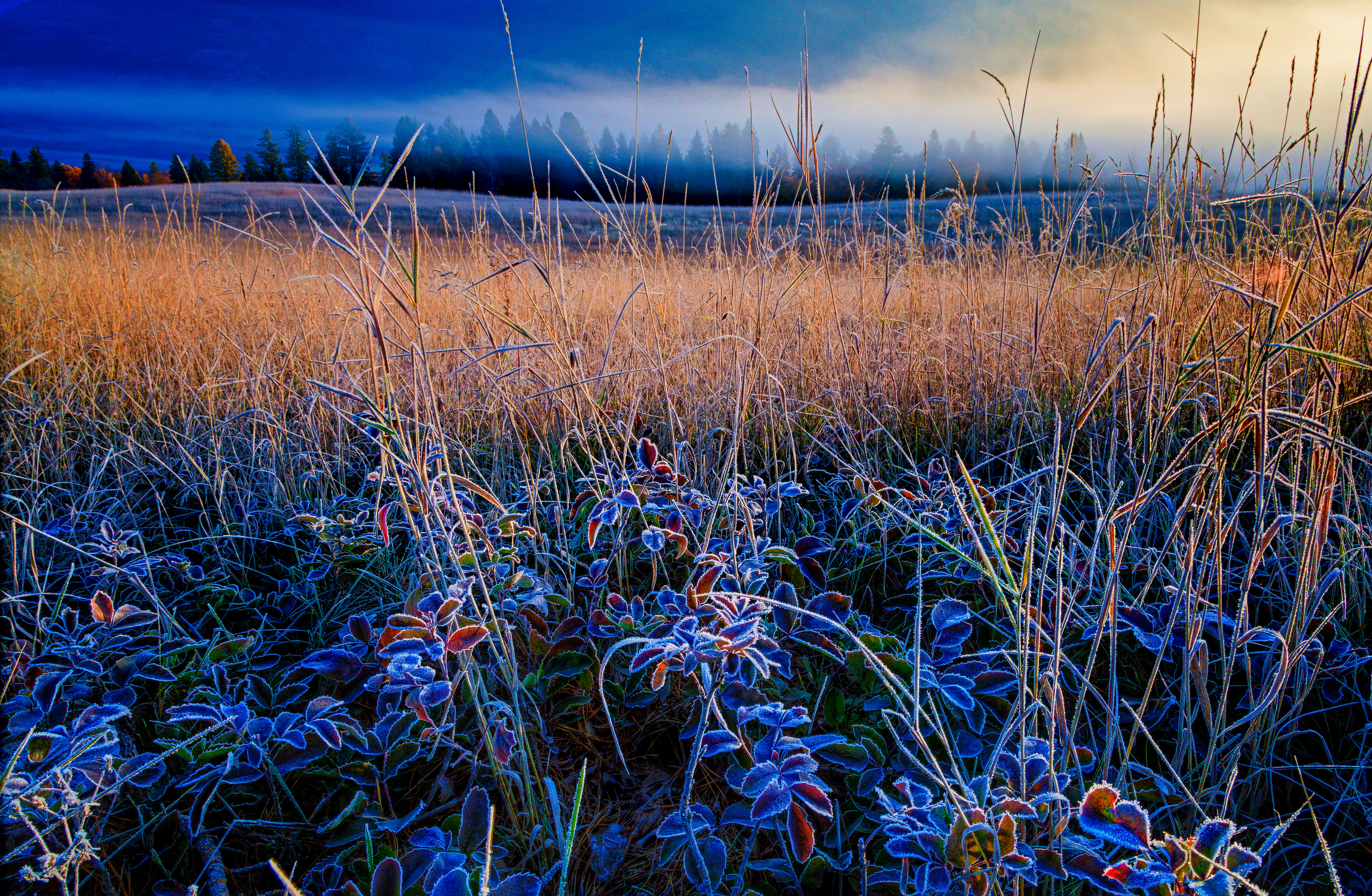 蒙大拿州弗拉特黑德山谷的秋日黎明和霜冻