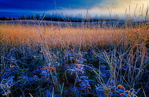 Осенний рассвет и мороз в долине Flathead, Монтана