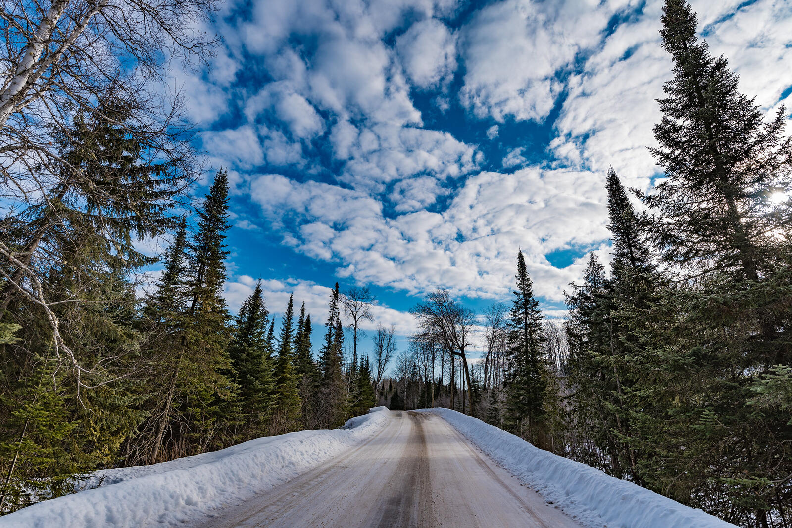 Free photo Snowy forest road