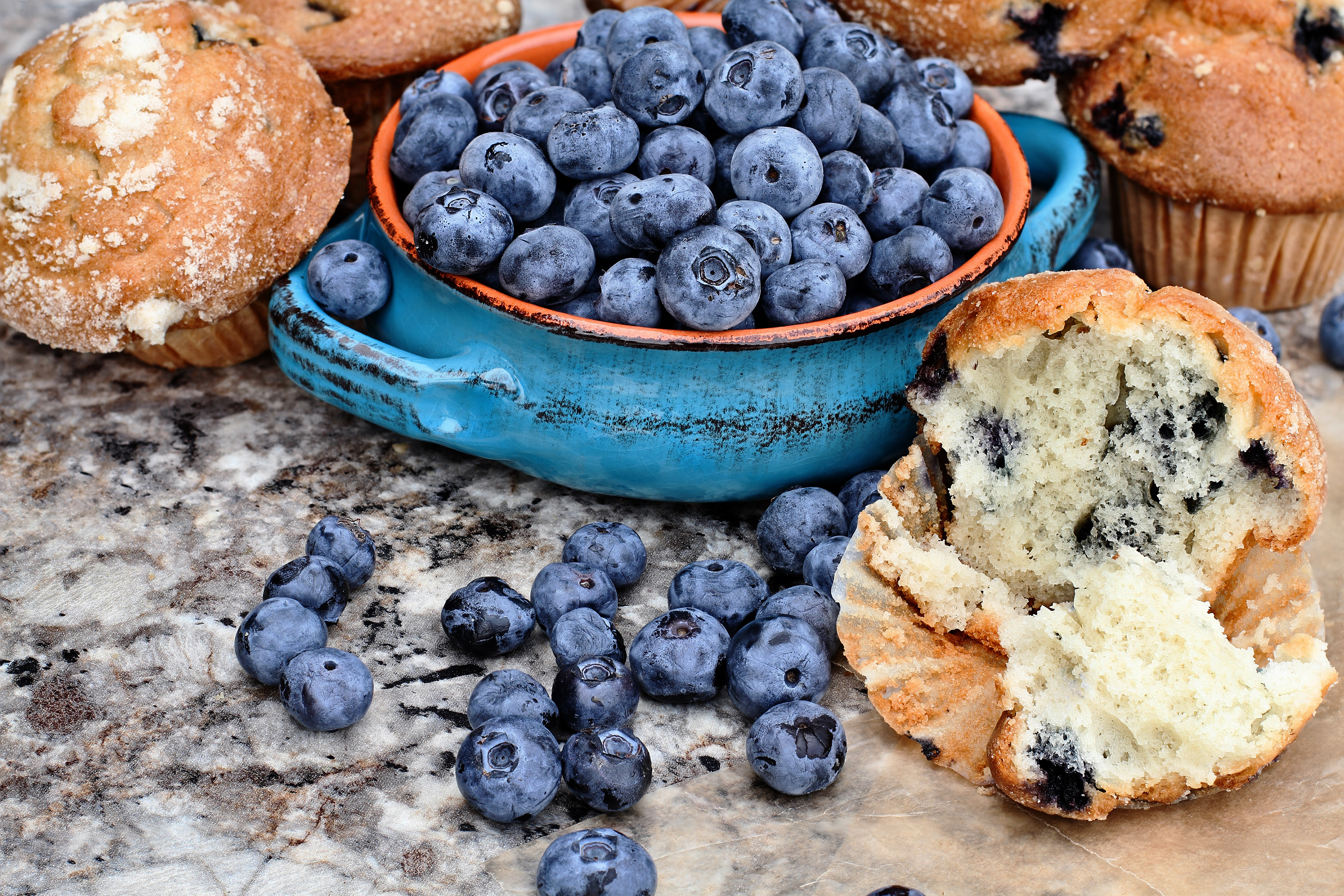 Free photo Blueberries and muffins