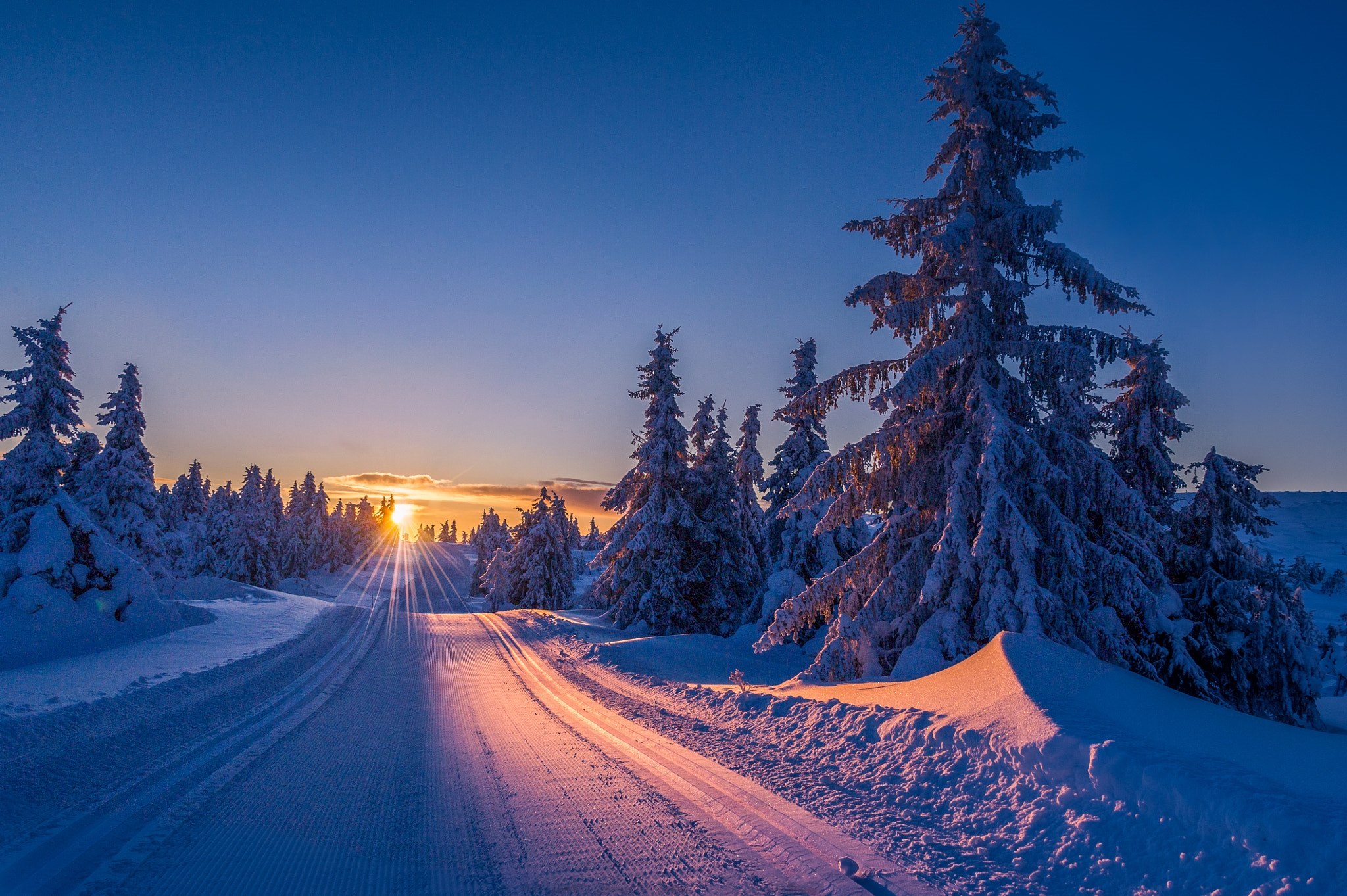 挪威的冬季森林轨道