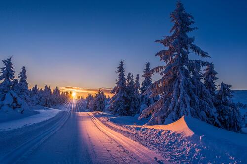 Зимняя лесная трасса в Норвегии