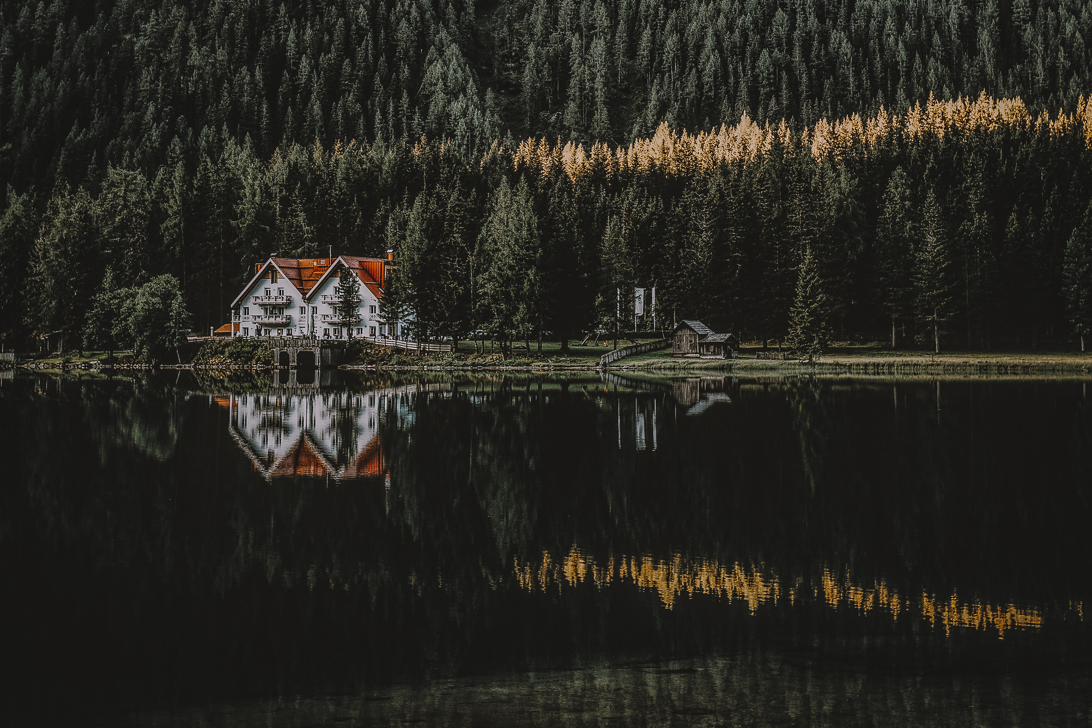 Дом дикой природы. Дом у озера штат Монтана. Домик у озера. Дом в лесу у озера. Домик в лесу у озера.