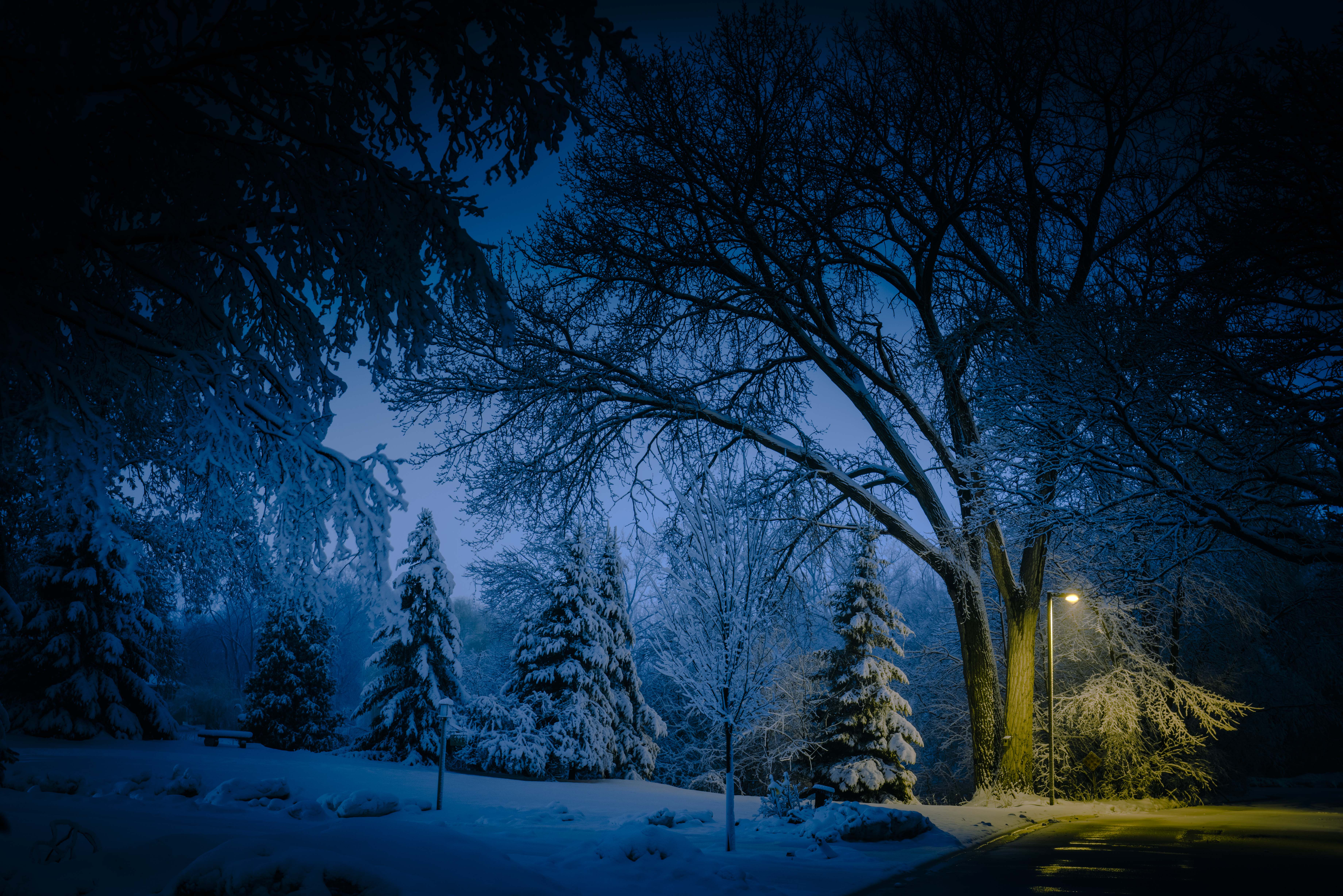 Fantasy winter night 1152 x 864 Wallpaper