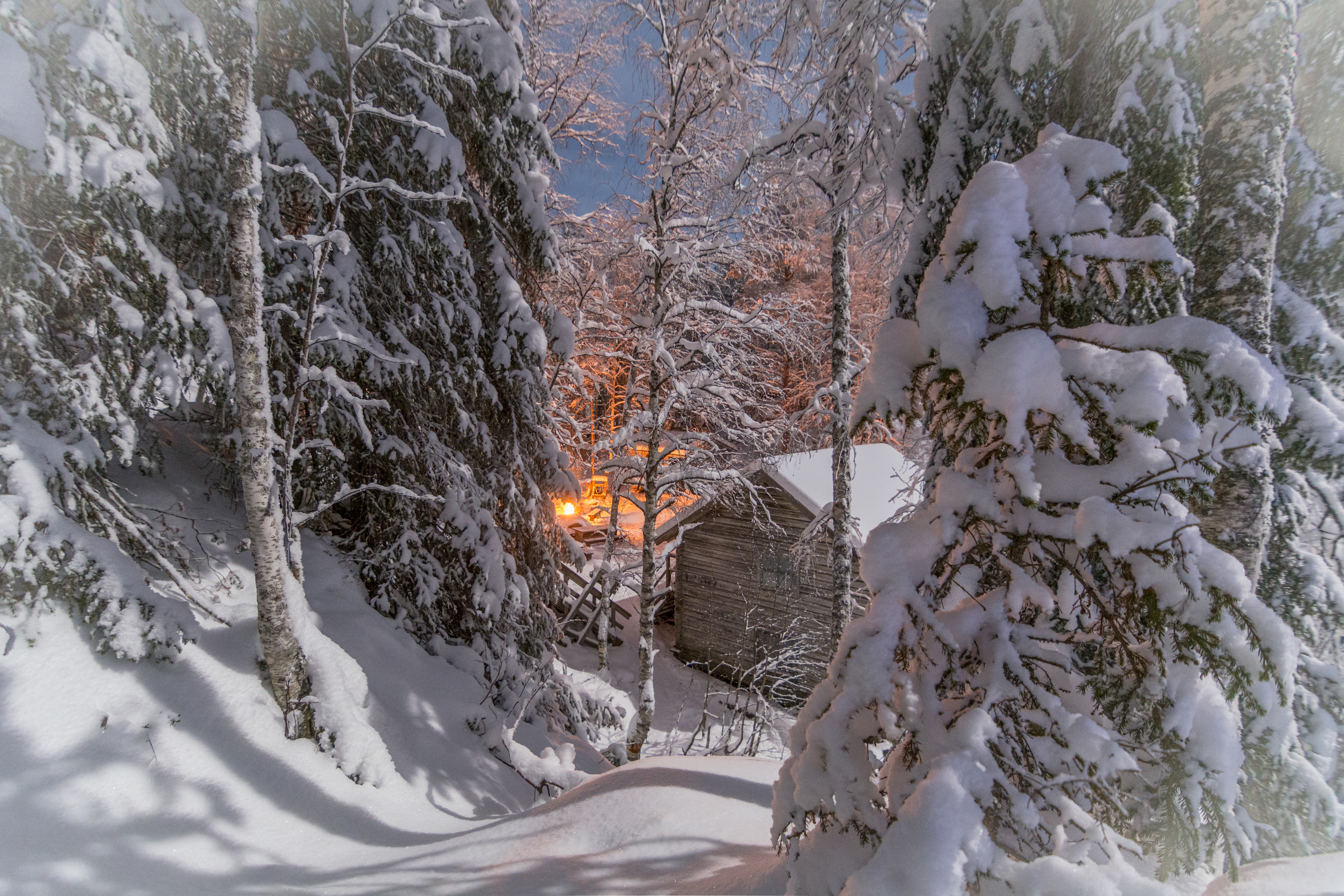 Фото бесплатно снег, дом, лес