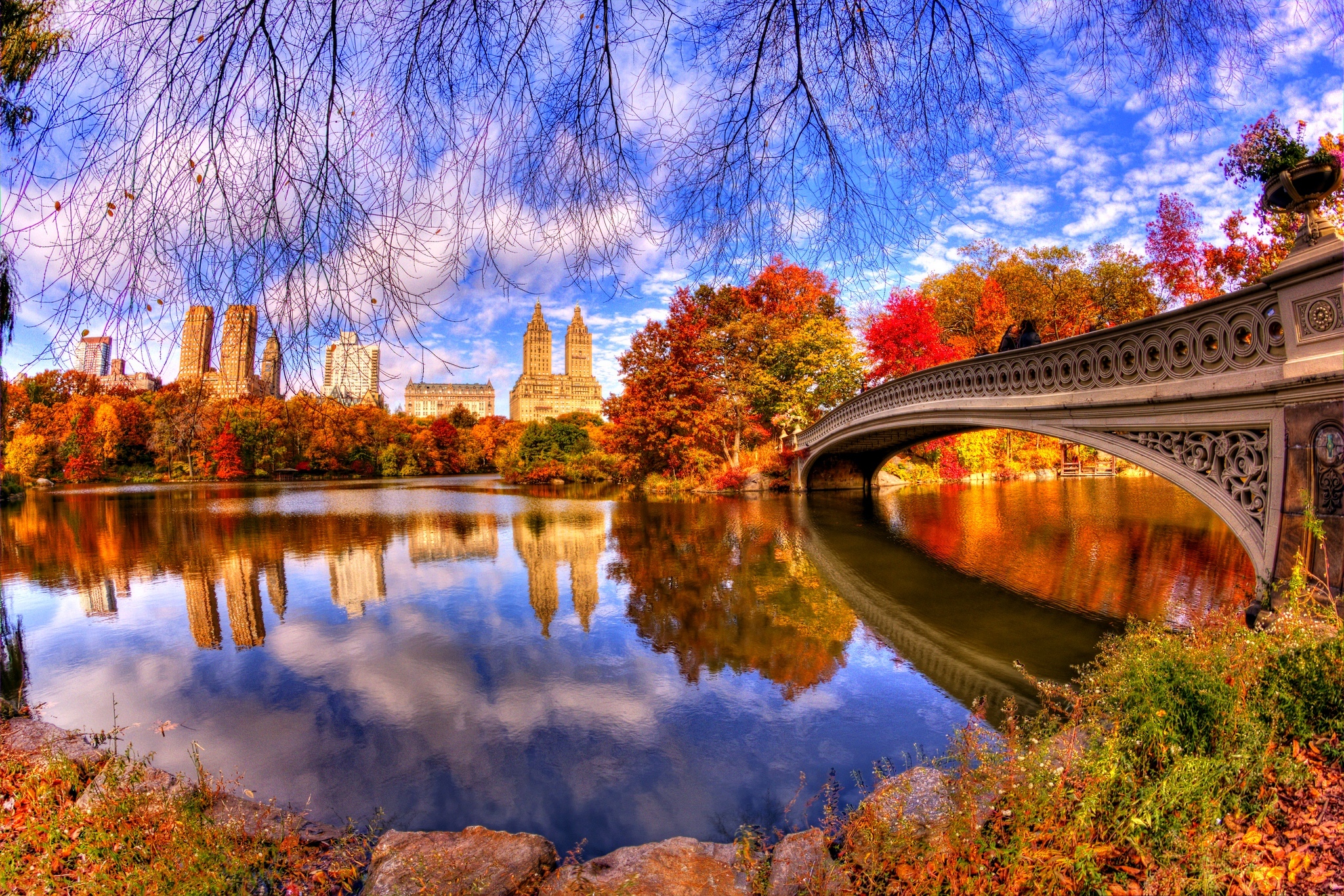 桌面上的壁纸城市之秋 秋季 中央公园