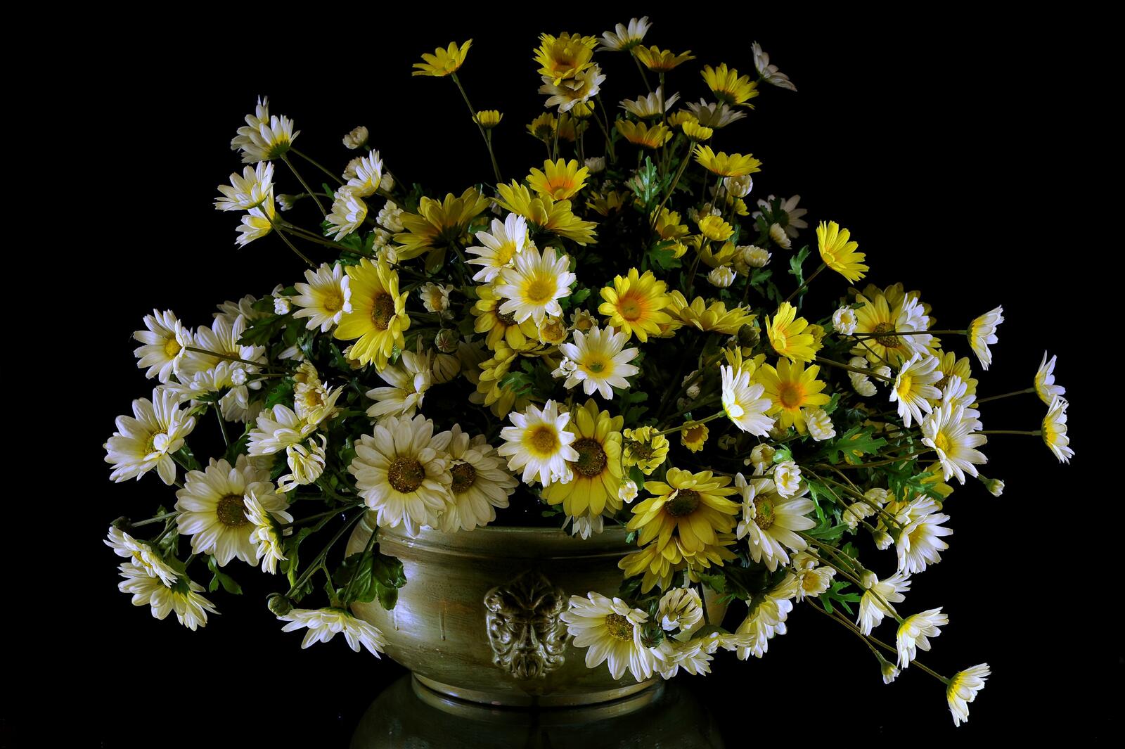 Wallpapers flowers bouquet daisies on the desktop