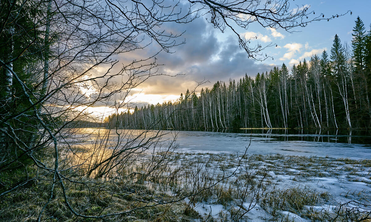 Замерзшее озеро Финляндии