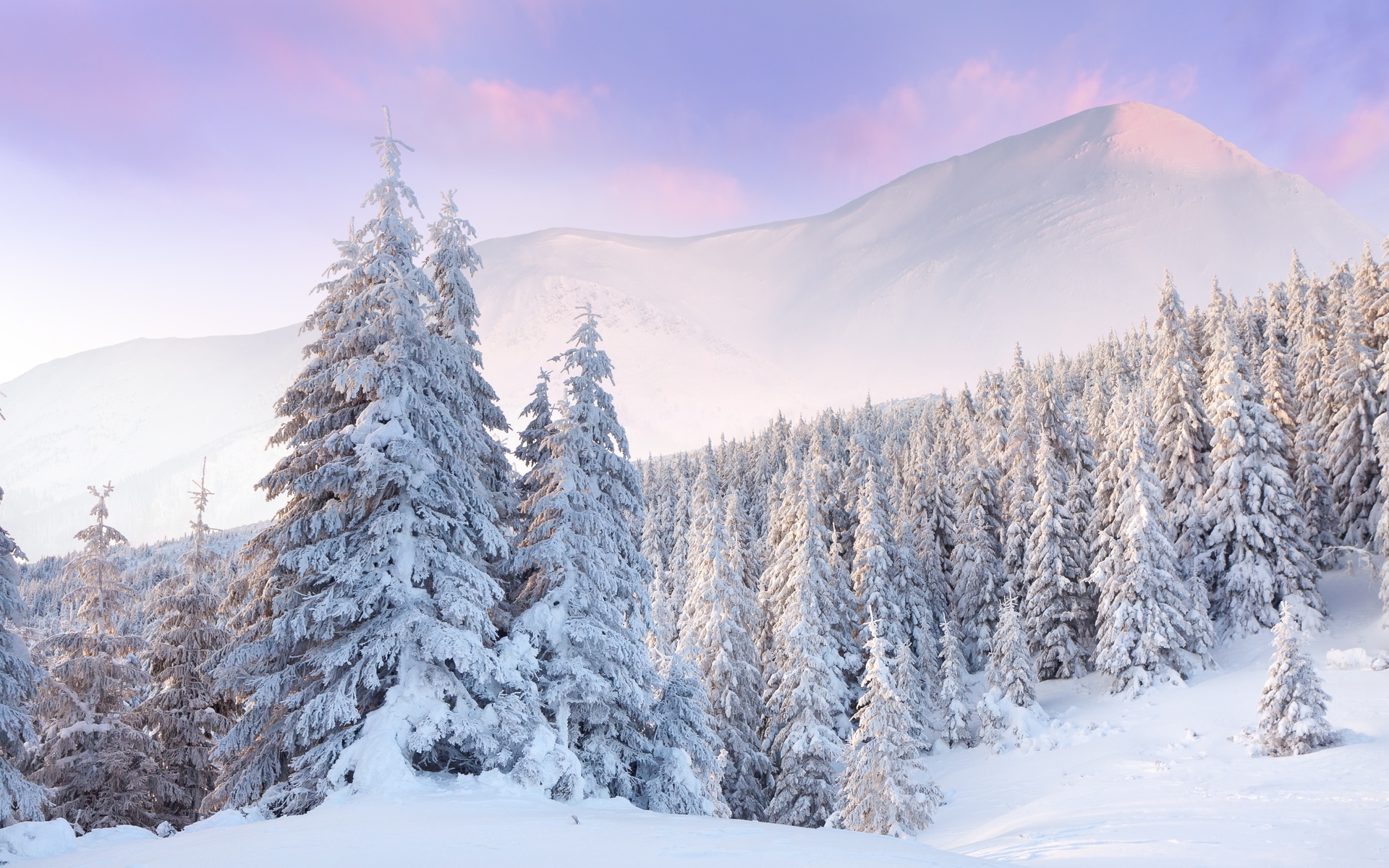 Фото бесплатно снег на деревьях, деревья, снег