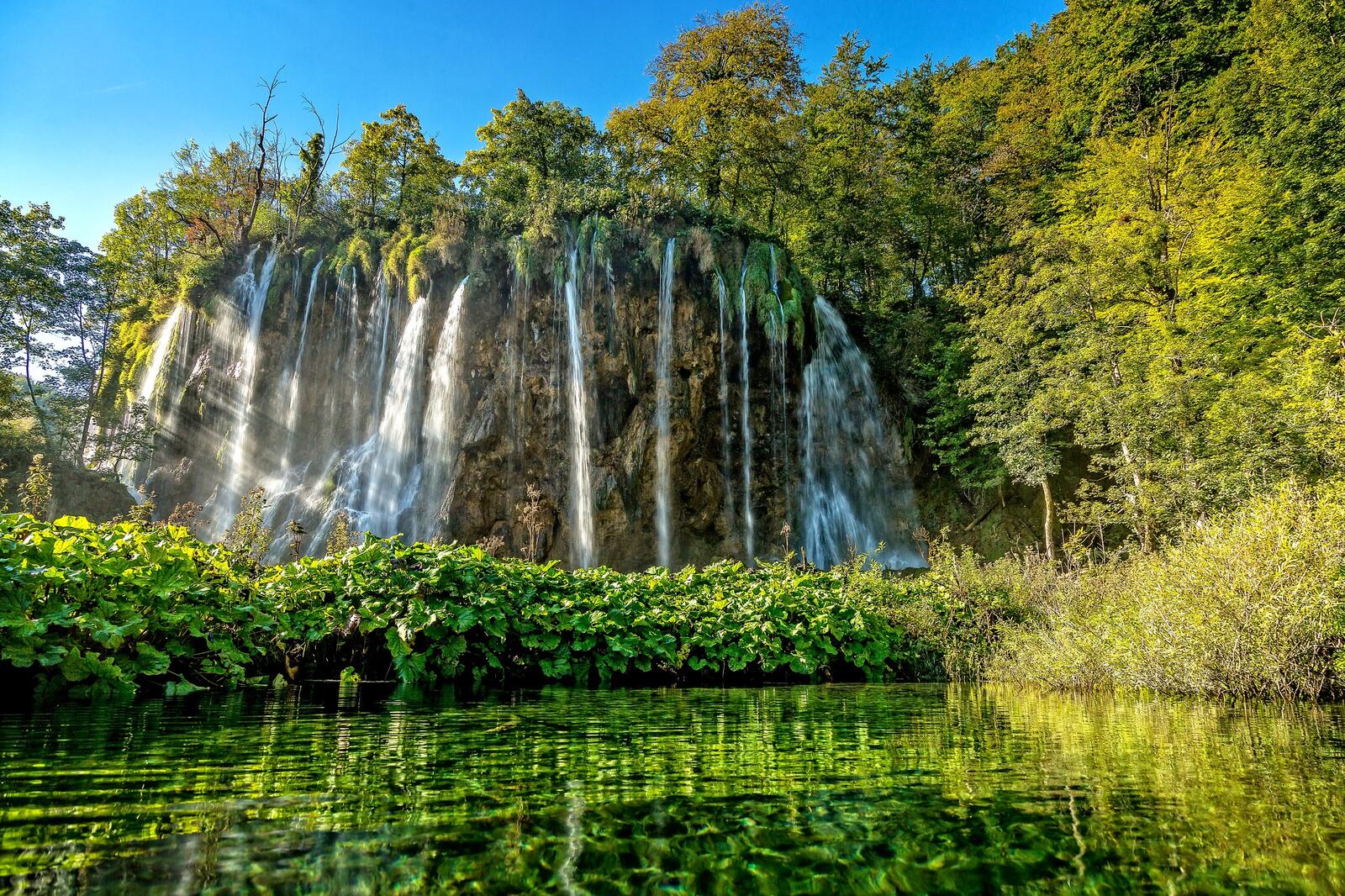 Wallpapers green foliage Plitvice lakes national park landscape on the desktop
