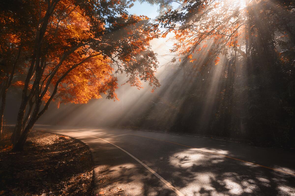 The rays of the autumn sun