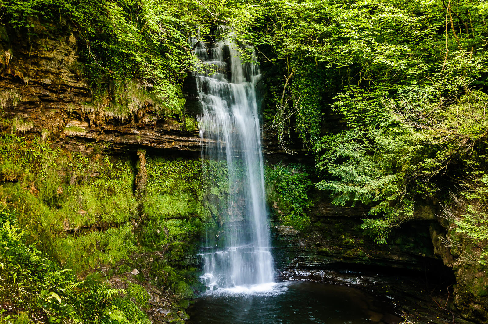 Free photo Rock forest waterfall