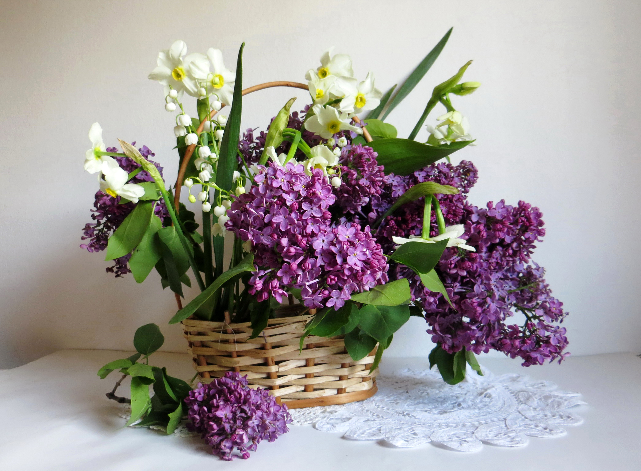 桌面上的壁纸植物群 丁香花束 淡紫色
