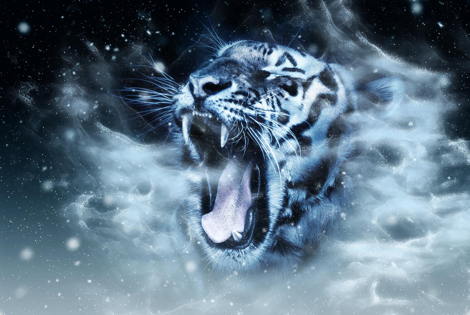 Wallpapers digital manipulation tiger wildlife on the desktop