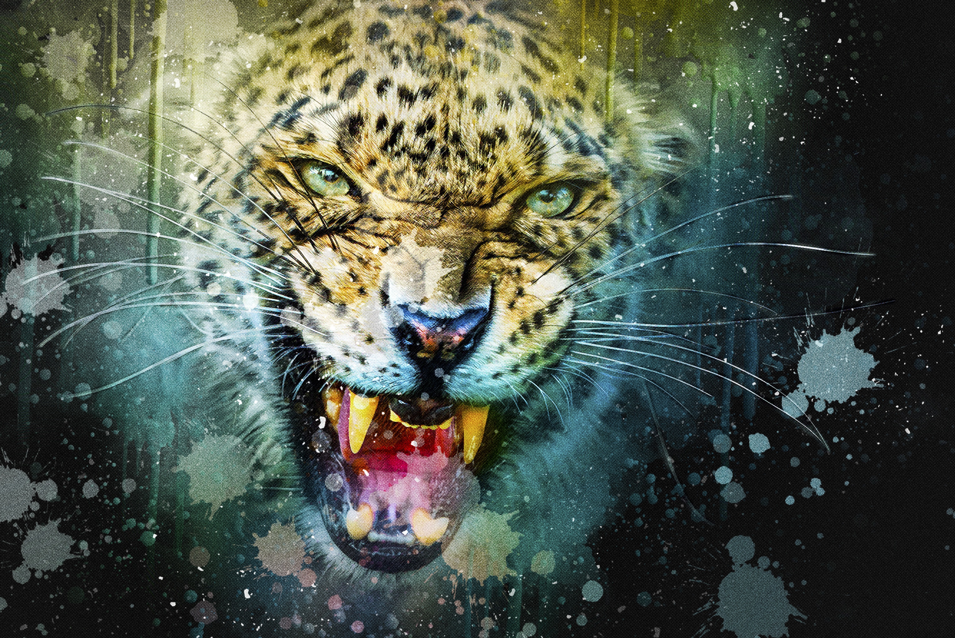 Wallpapers grin art leopard on the desktop