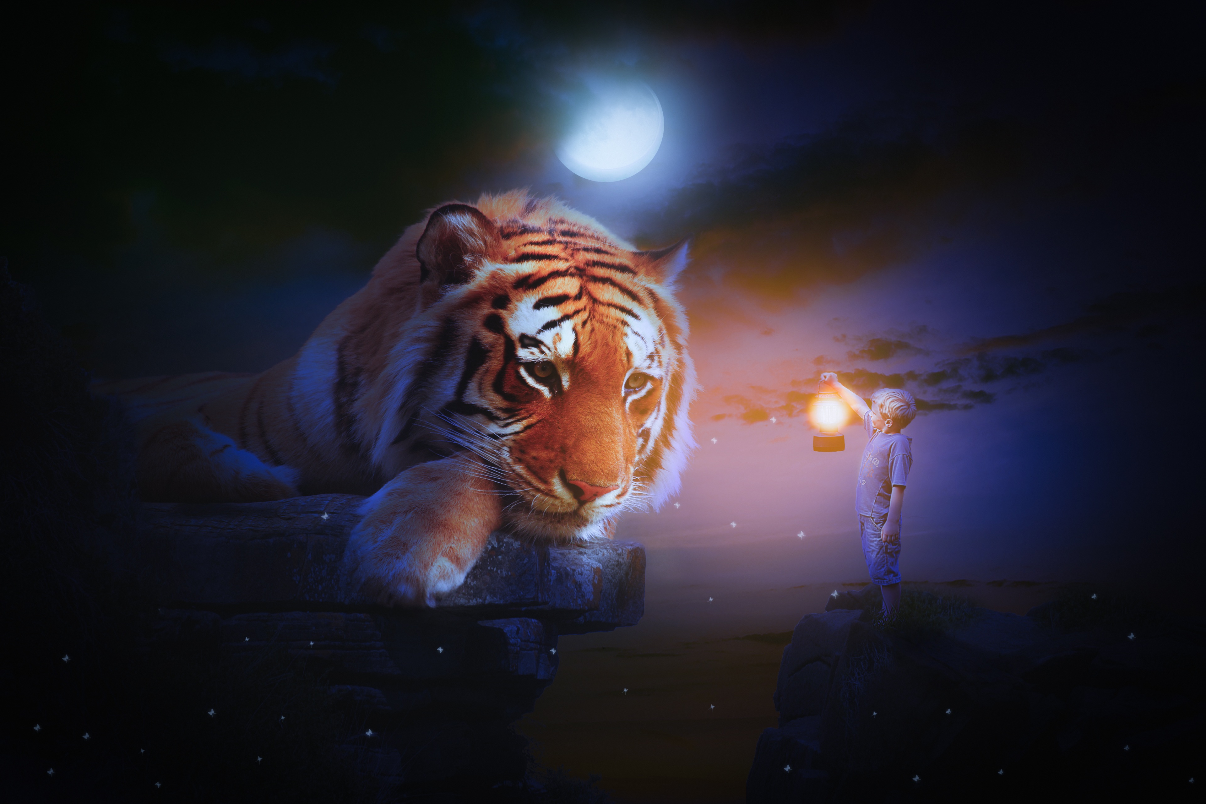 Фото бесплатно лунный свет, мальчик, тигр