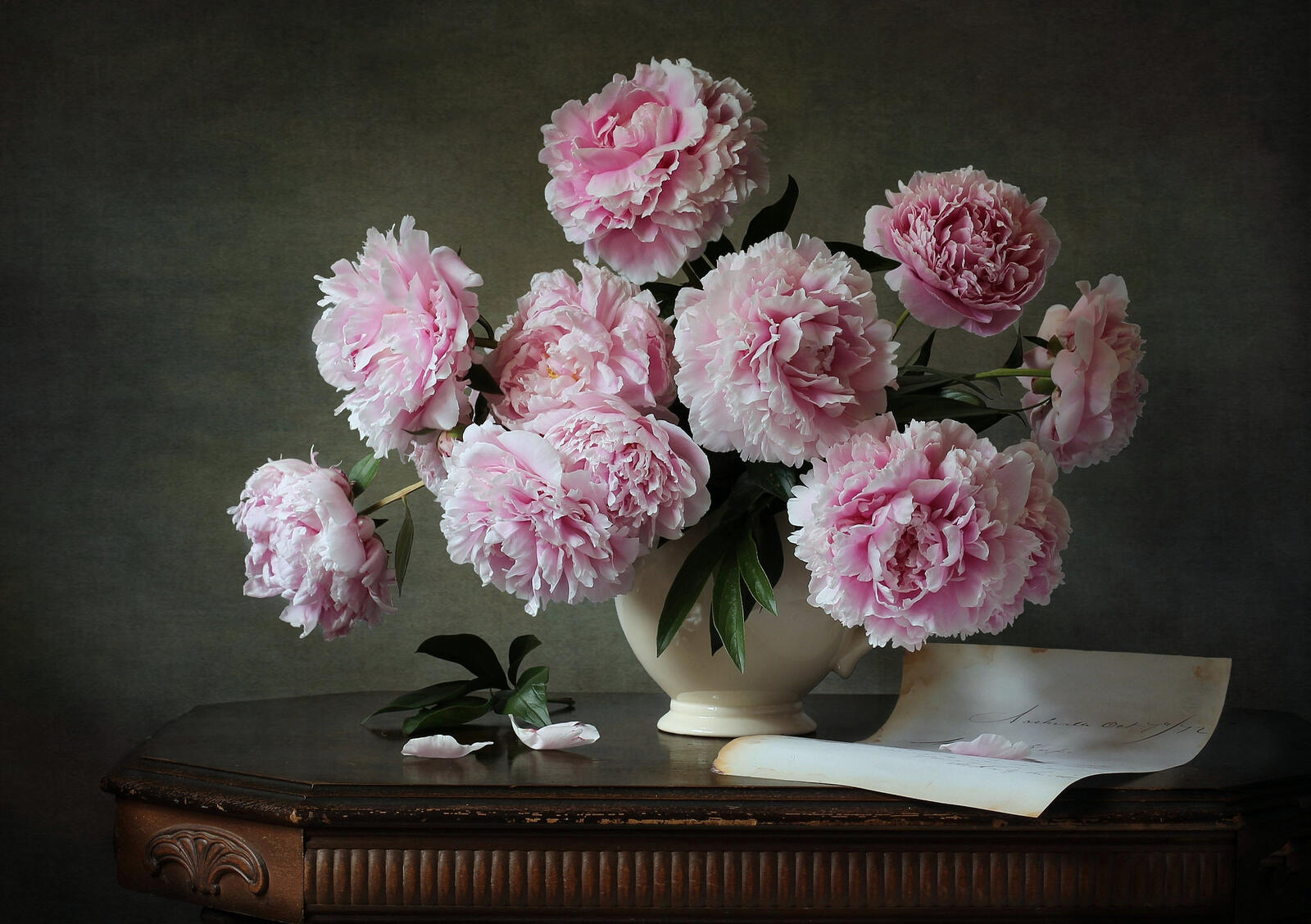桌面上的壁纸鲜花 牡丹 粉红的花朵