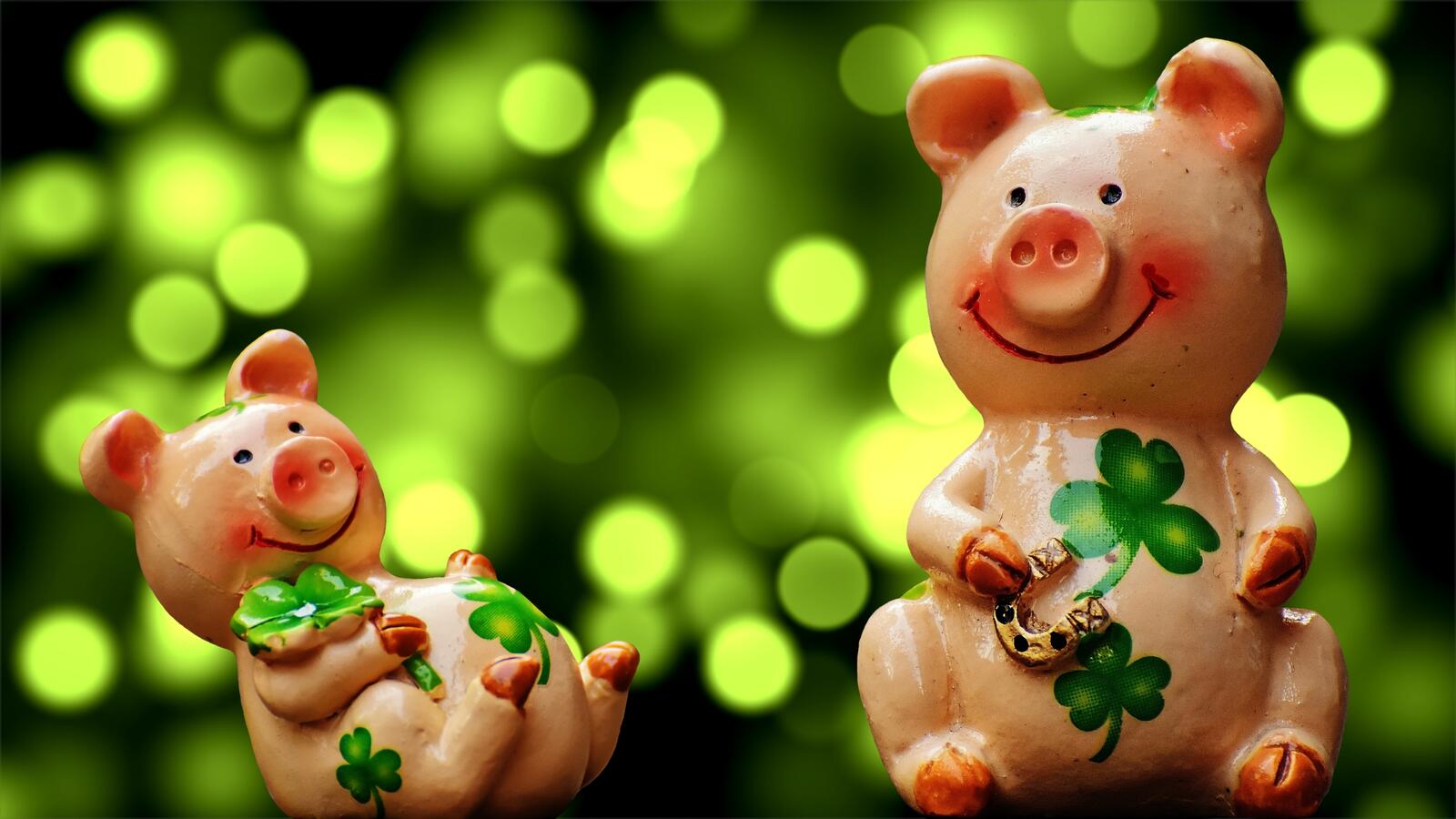 Wallpapers the symbol of the year of the pig hi Q flowers on the desktop