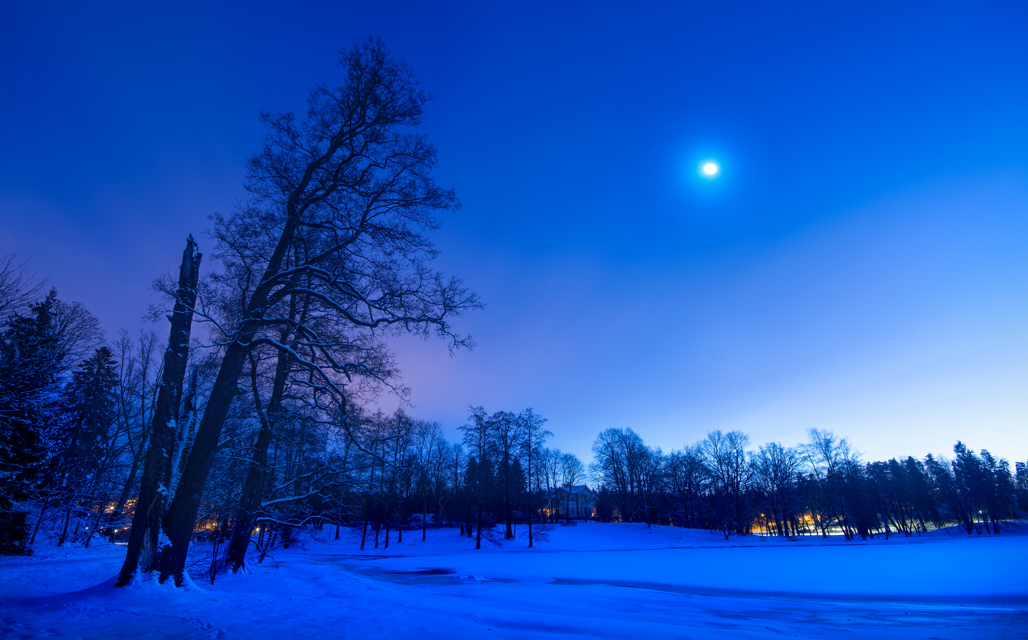Луна зимой ночью. Зимний ночной пейзаж. Зимняя ночь. Ночной зимний лес. Зимнее ночное небо.