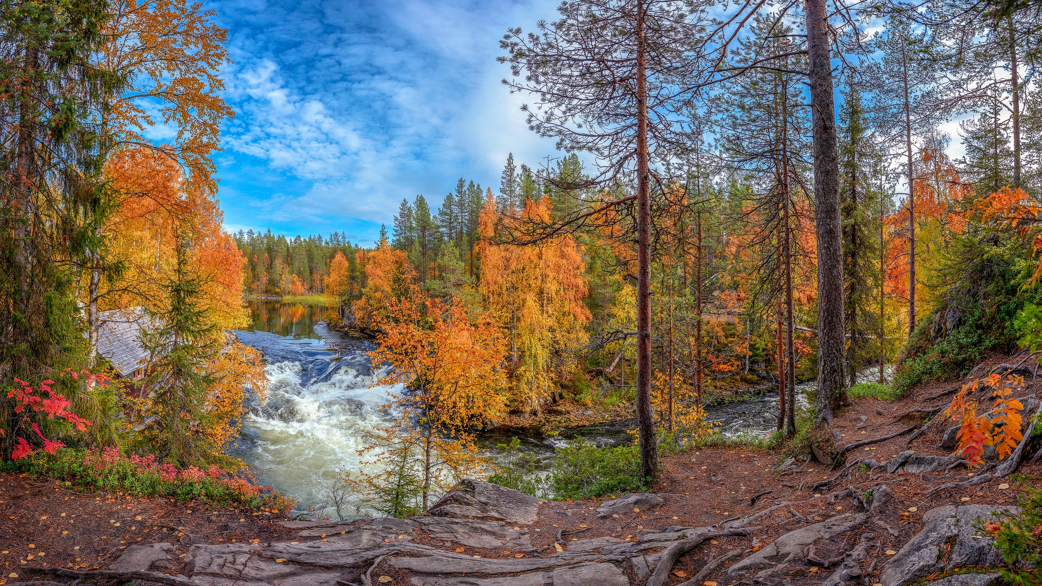 Wallpapers autumn River kitkajoki Kuusamo on the desktop