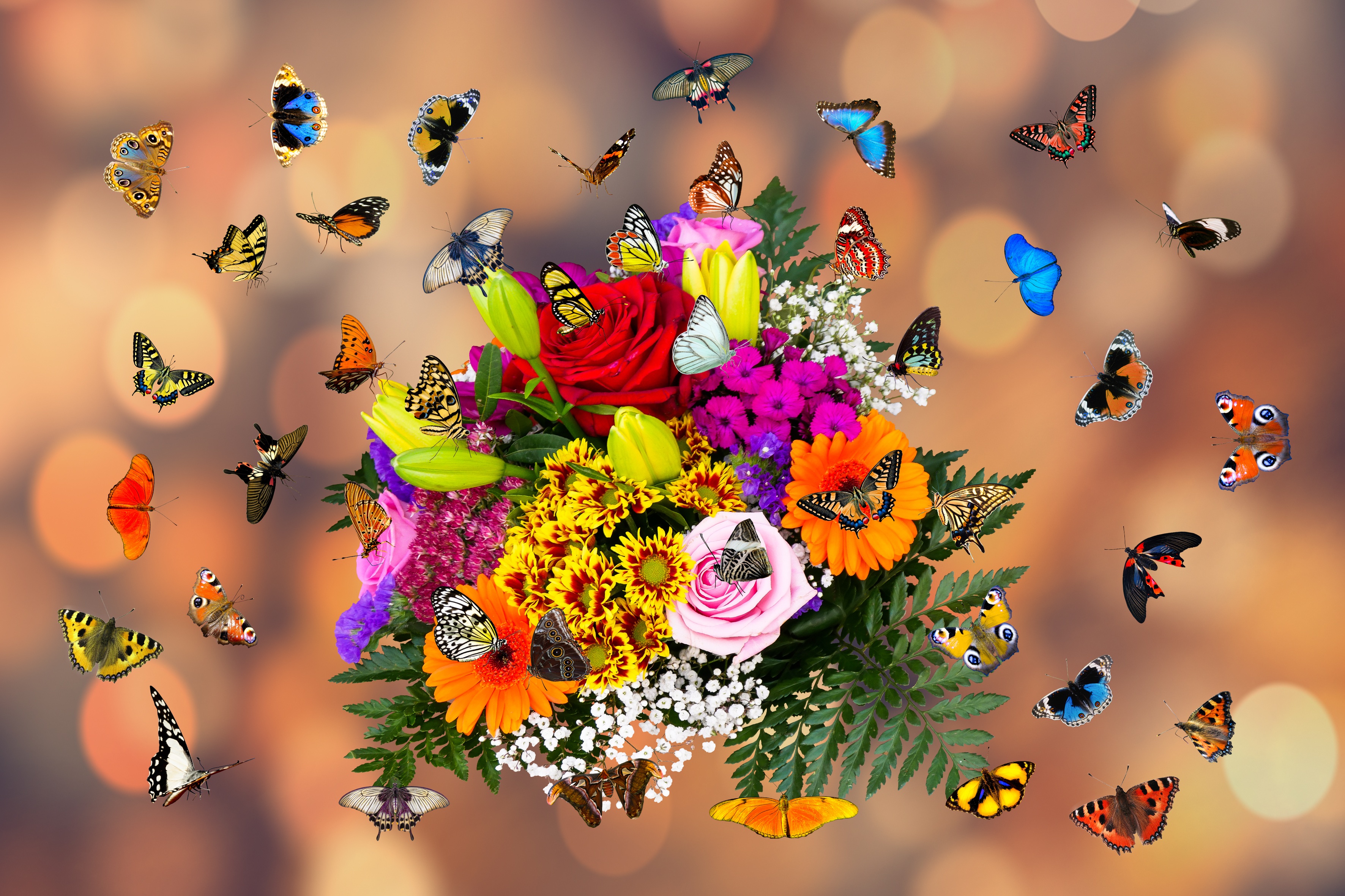 Картинка день бабочек. Бабочка на цветке. Букет цветов с бабочками. Много бабочек. Красивый букет цветов с бабочками.