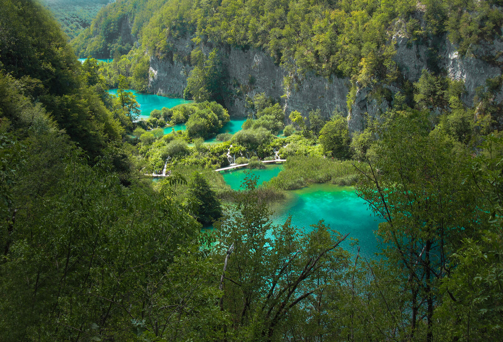 Wallpapers landscape Plitvice Lakes trees on the desktop