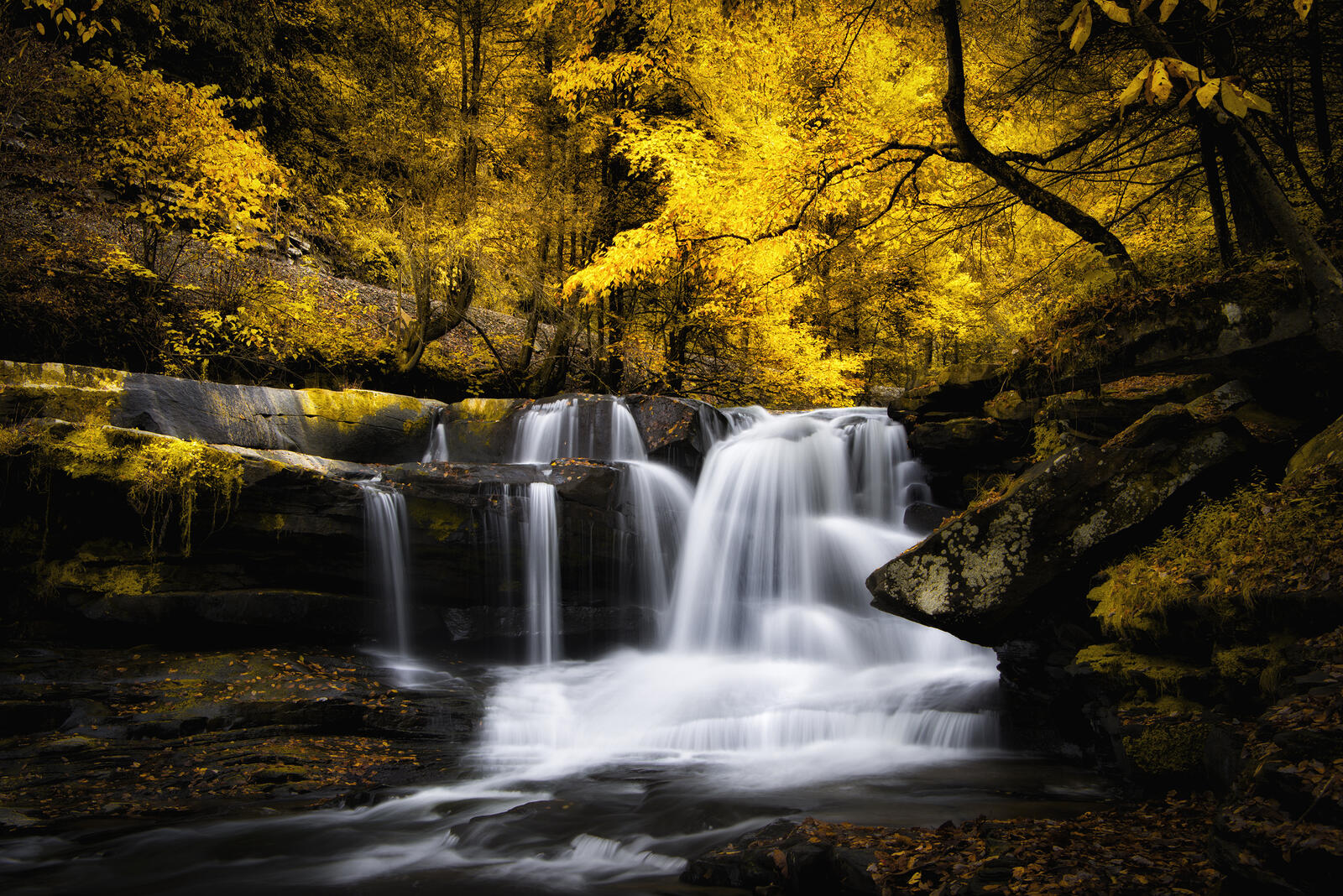 Бесплатное фото Утренний водопад в джунглях