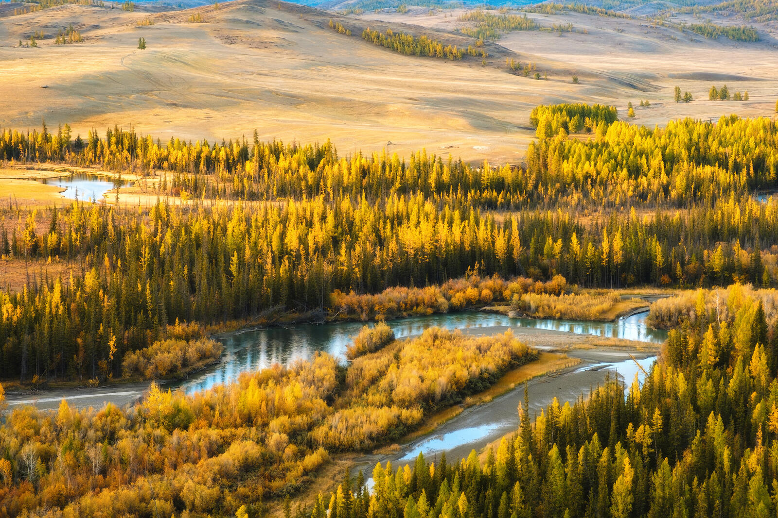 Бесплатное фото Алтайская золотая осень