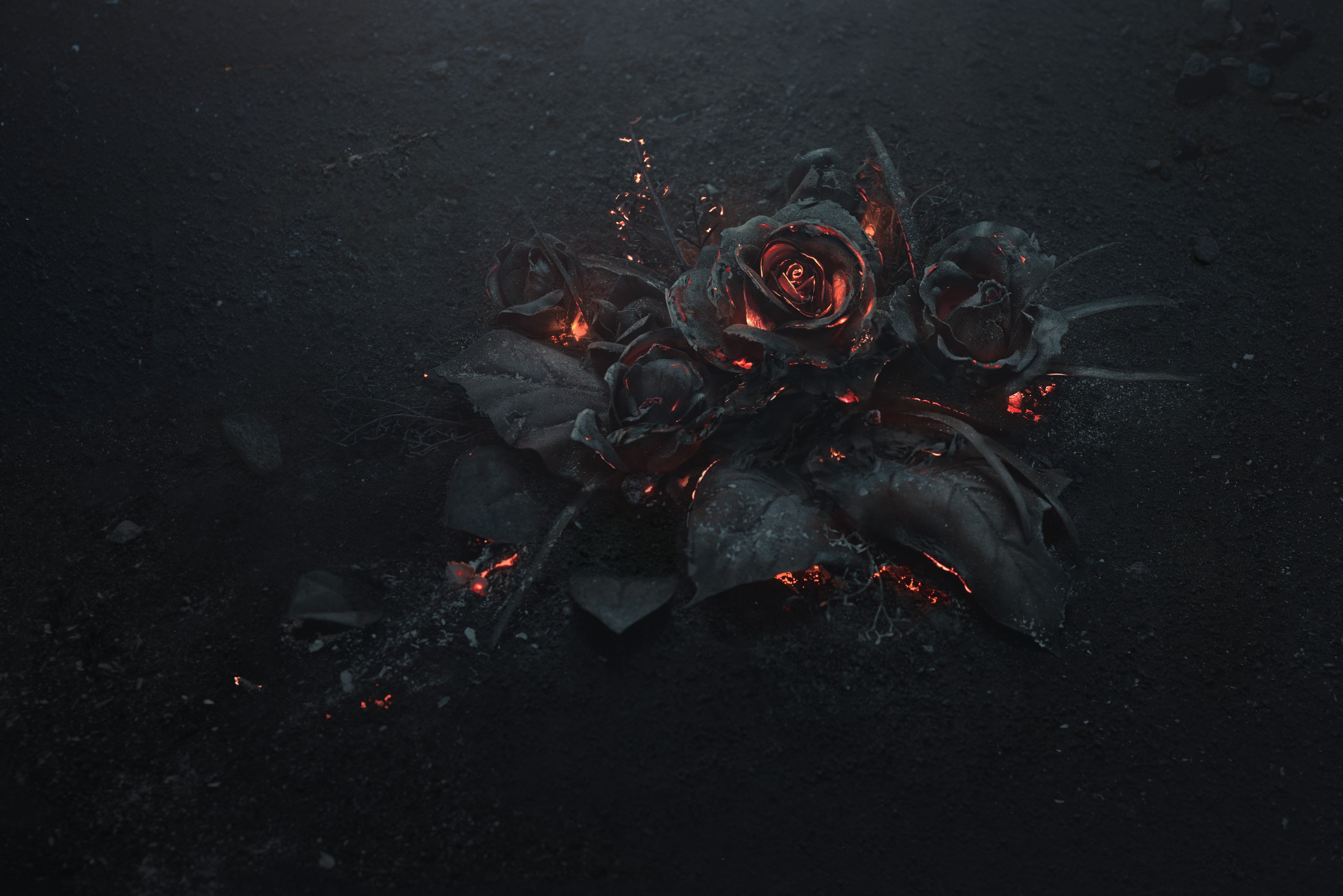 Roses from volcanic lava
