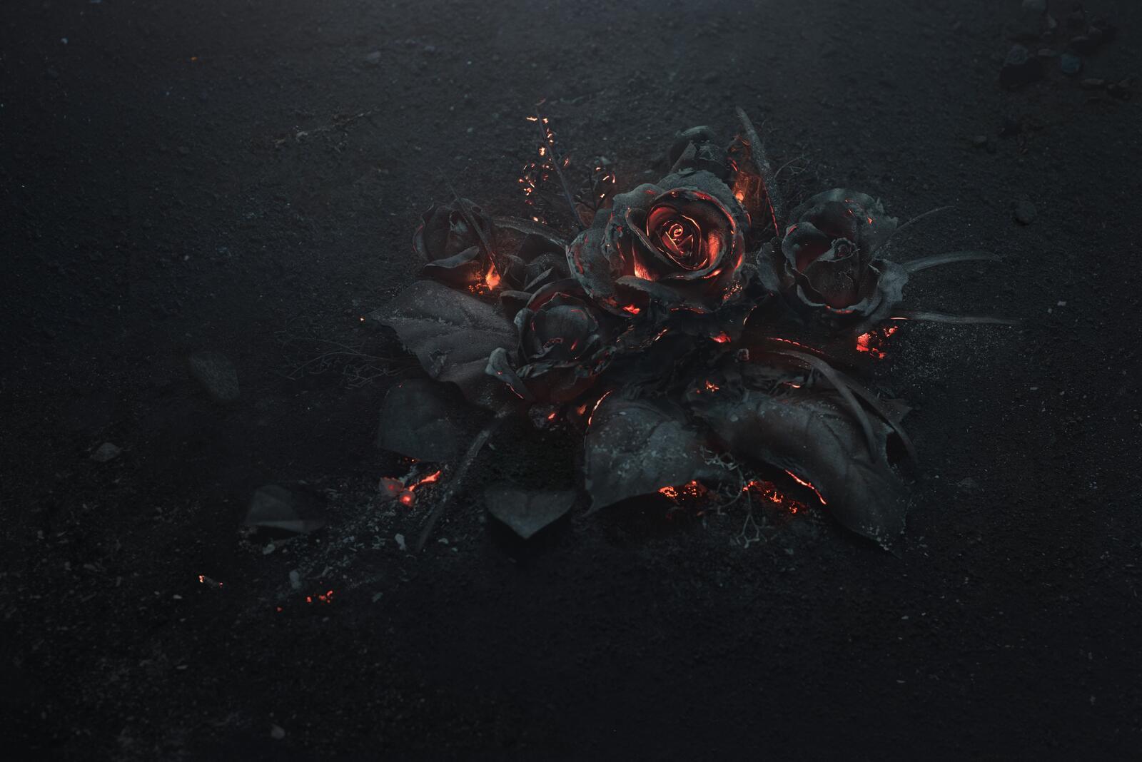 Бесплатное фото Розы из вулканической лавы