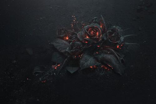 Roses from volcanic lava