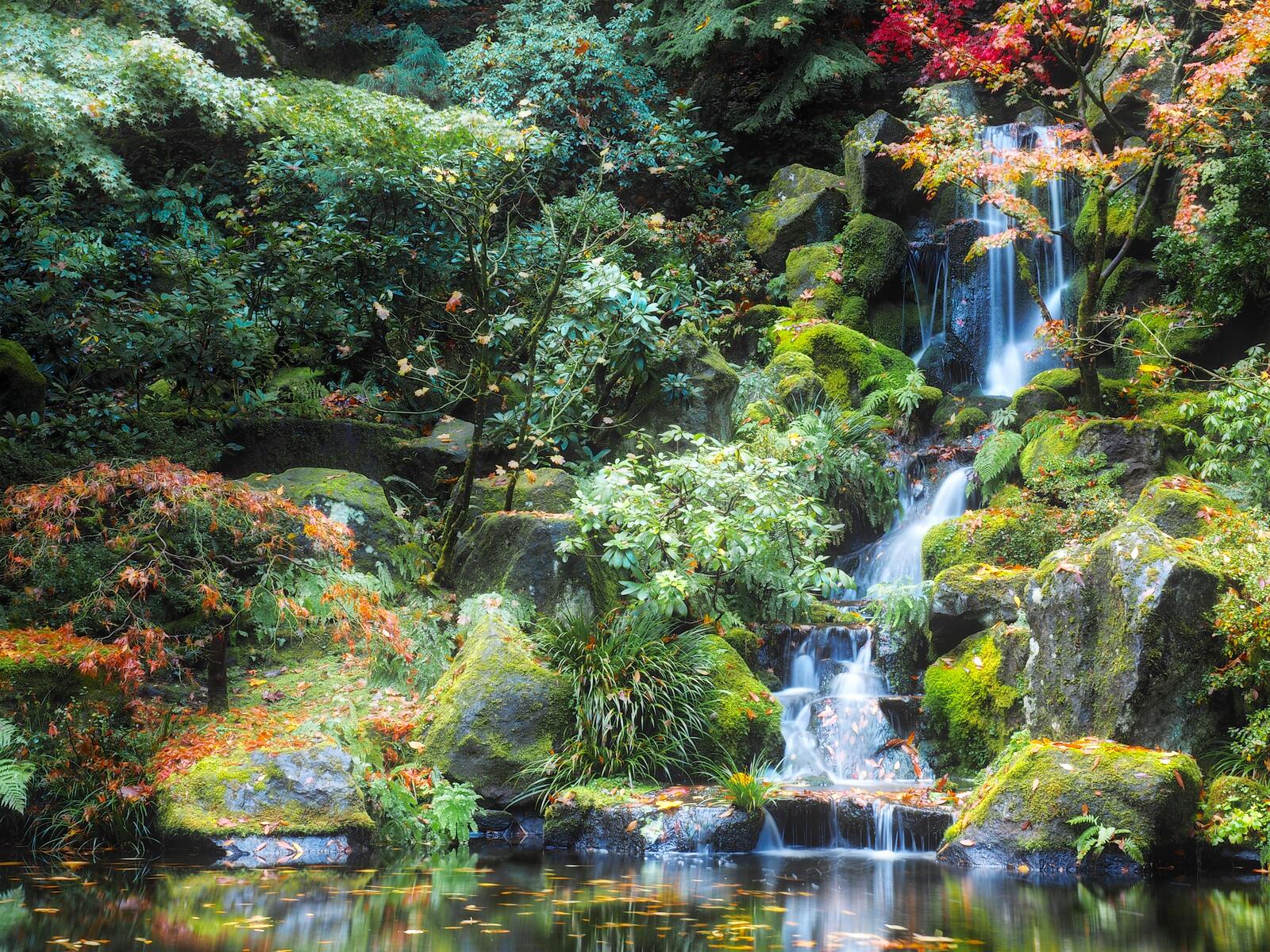 Обои Waterfall Japanese Gardens Portland на рабочий стол