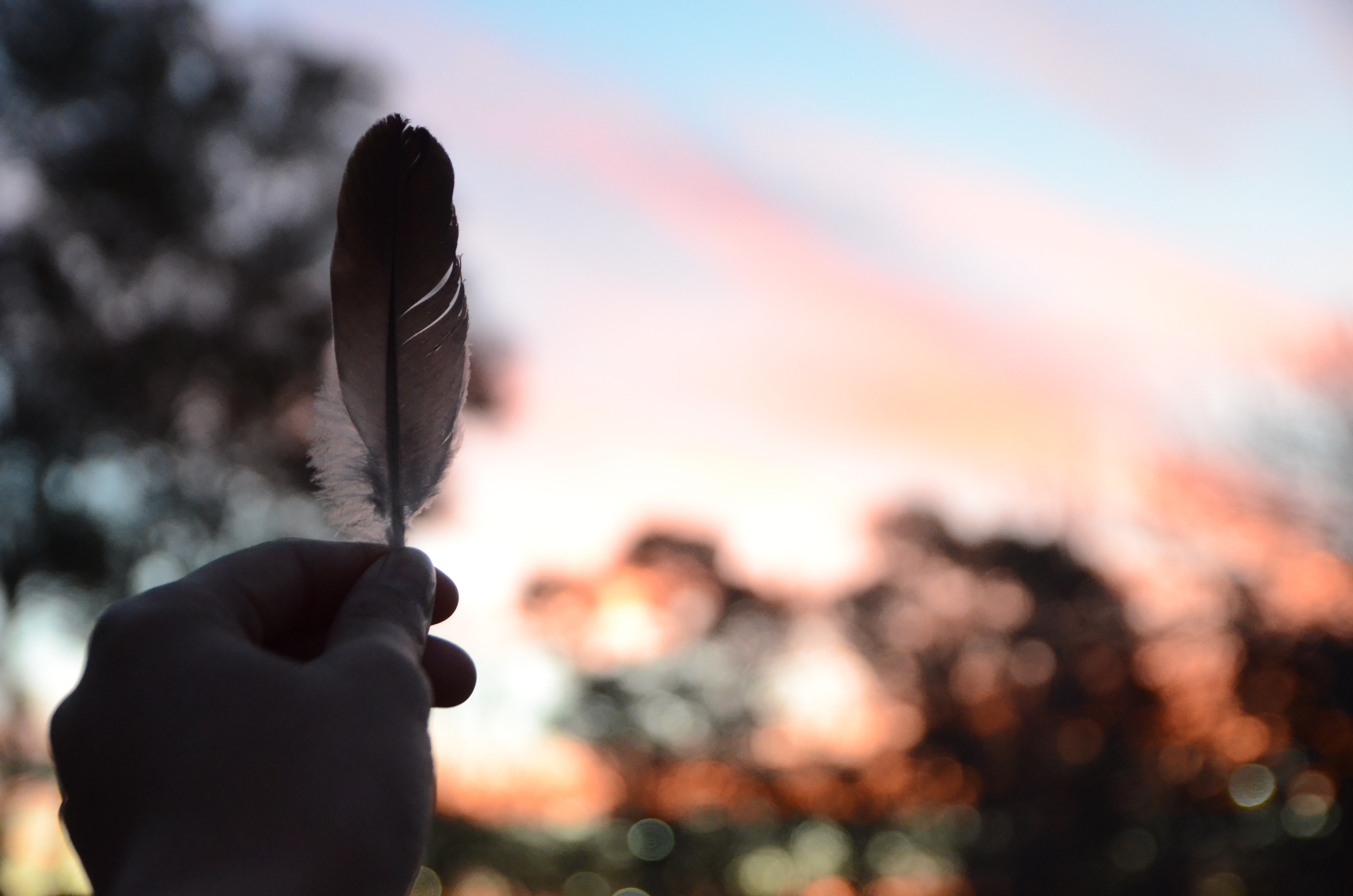 Wallpapers feather hand beautiful on the desktop