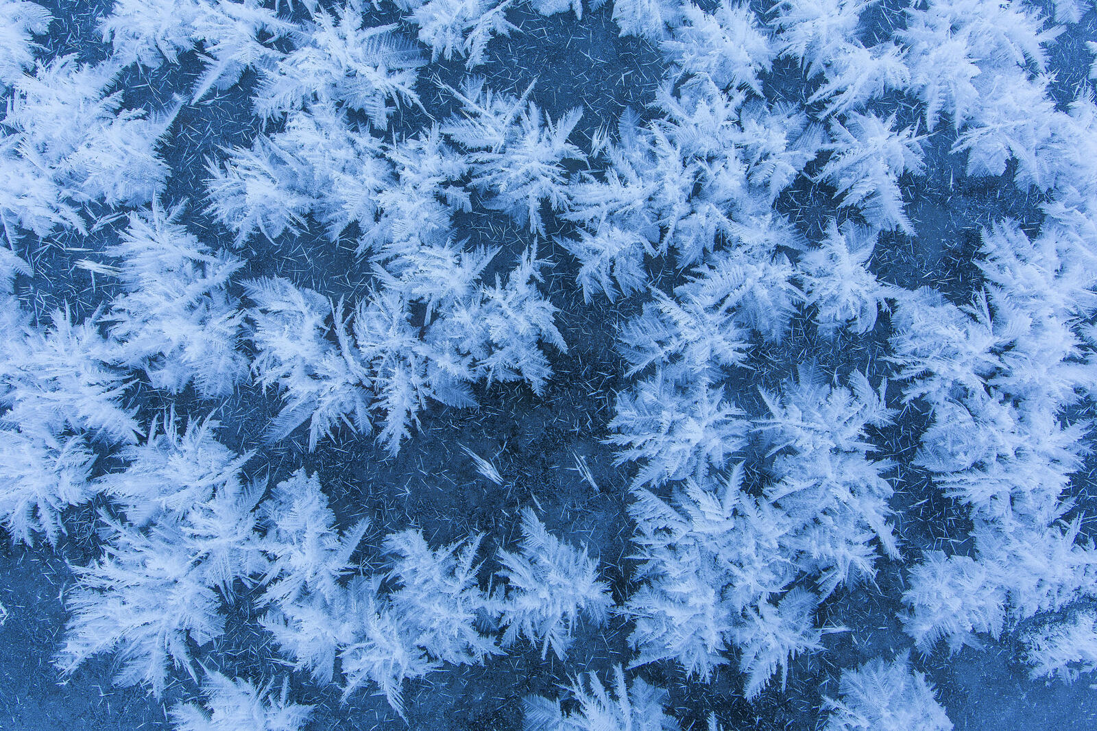 Wallpapers snow ice crystals on the desktop